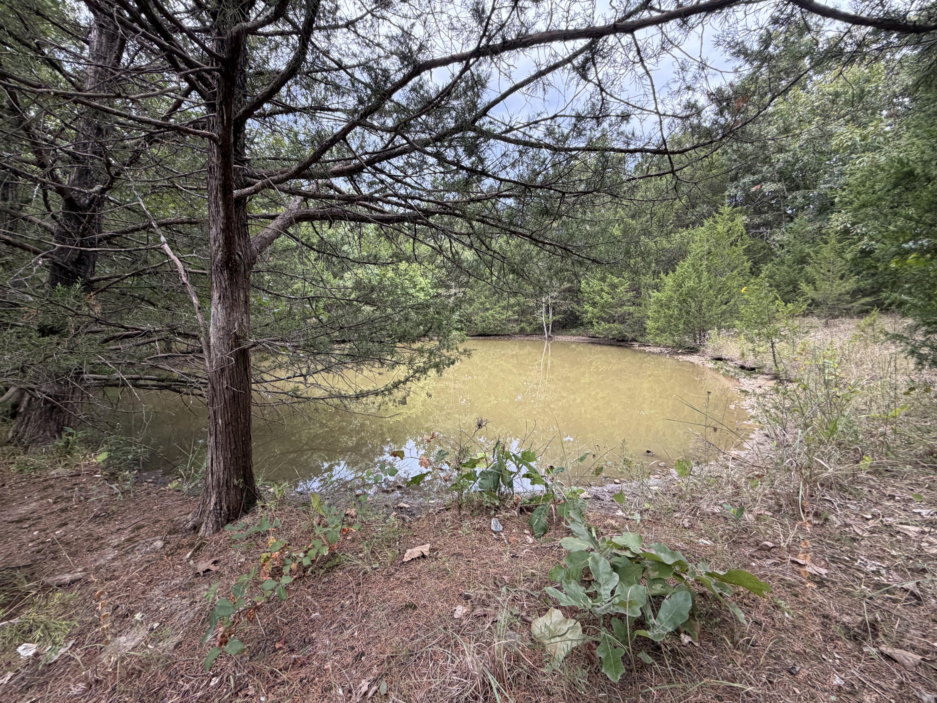 Photo 44 - Residential for sale – 000  County Road 316   Urbana, MO