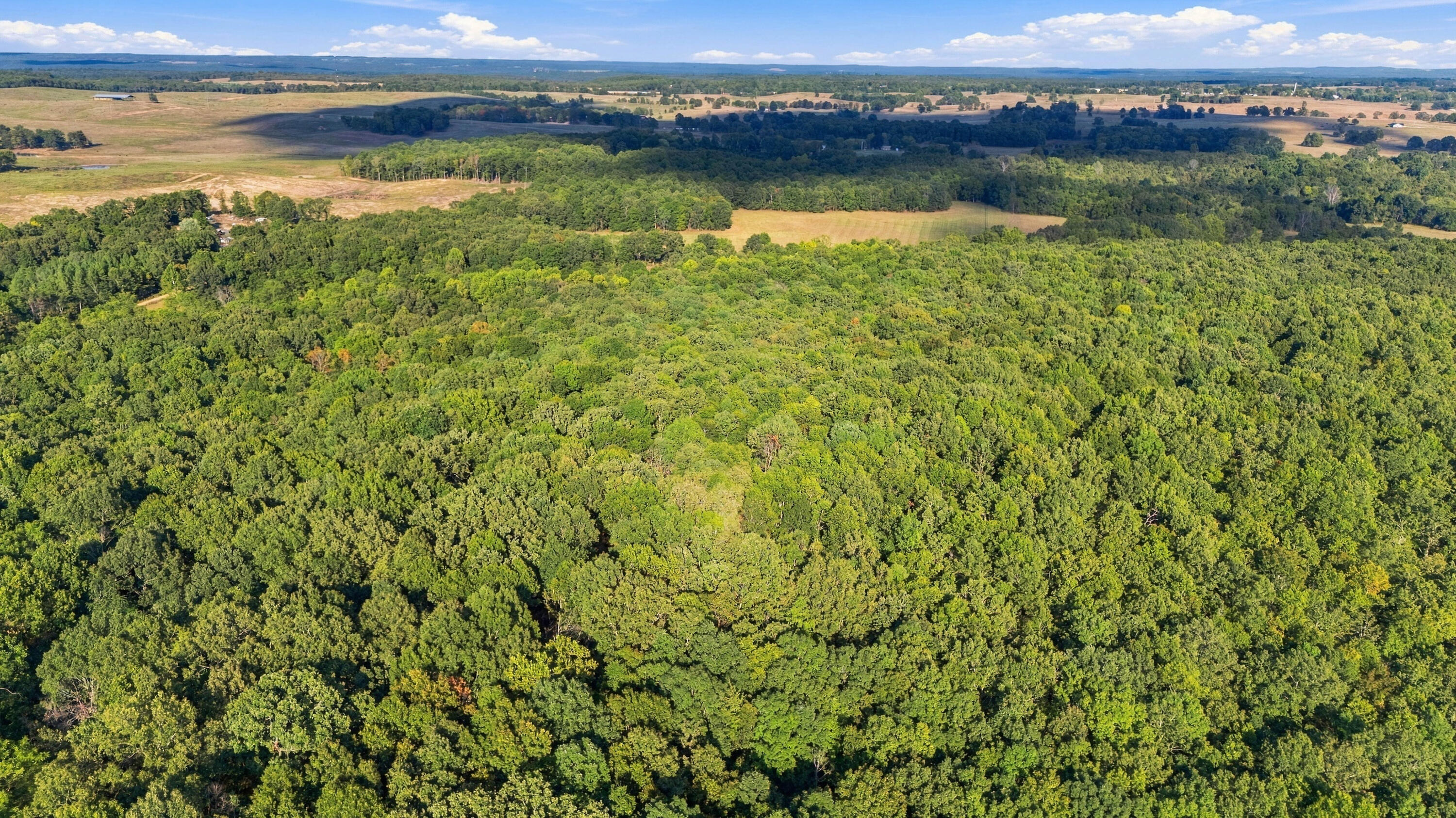 Photo 10 - Land for sale – 000  County Road 9160   Koshkonong, MO