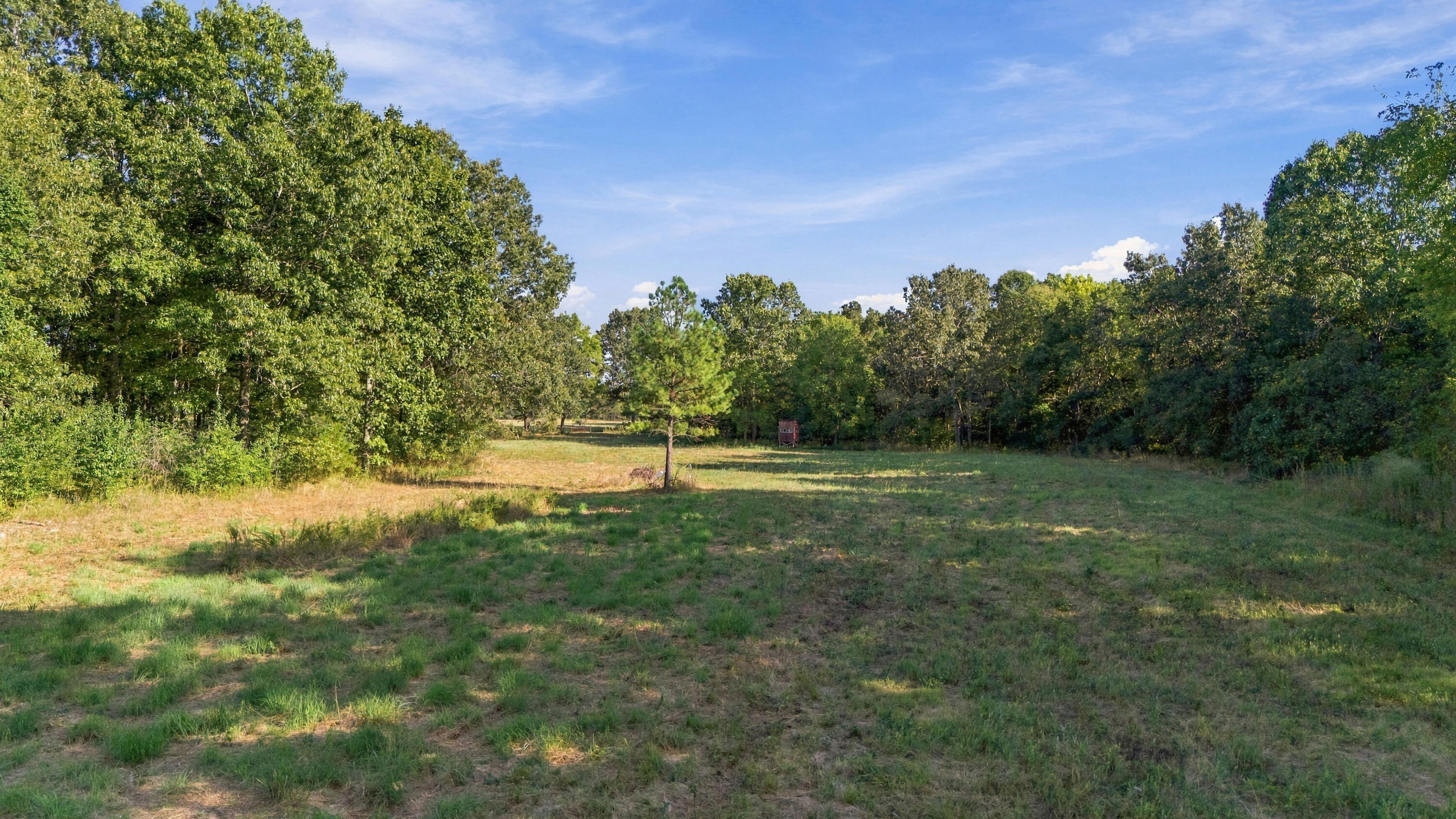 Photo 6 - Land for sale – 000  County Road 9160   Koshkonong, MO