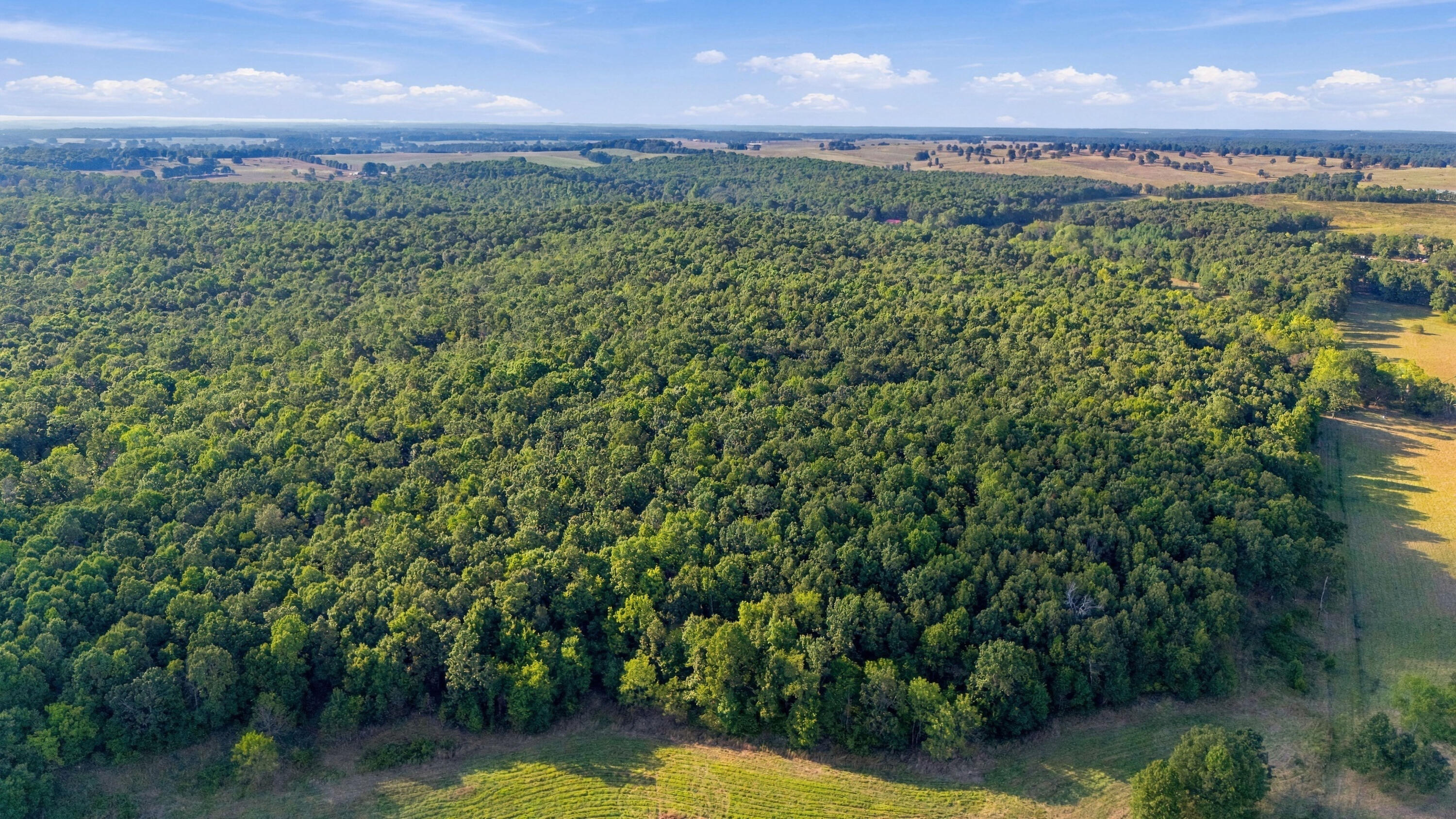 Photo 7 - Land for sale – 000  County Road 9160   Koshkonong, MO