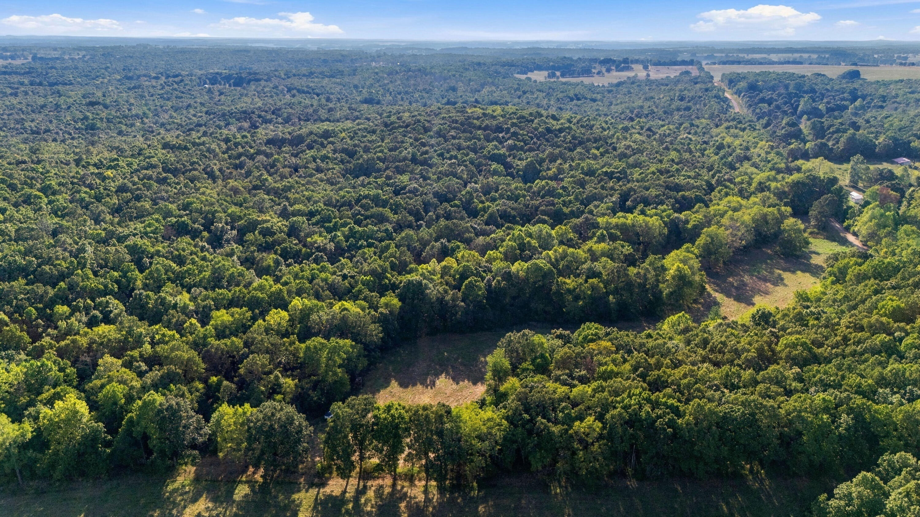 Photo 15 - Land for sale – 000  County Road 9160   Koshkonong, MO