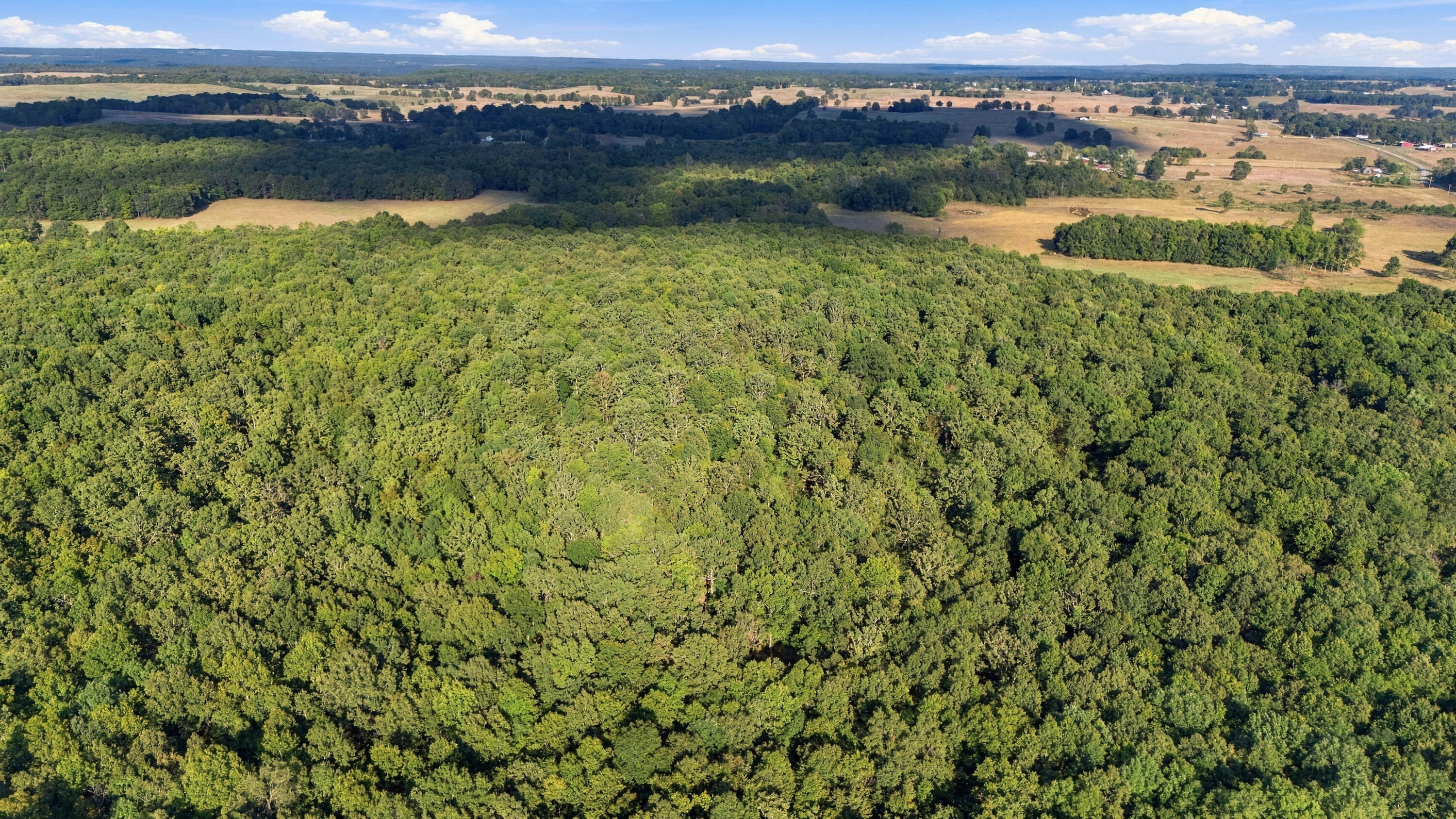 Photo 9 - Land for sale – 000  County Road 9160   Koshkonong, MO