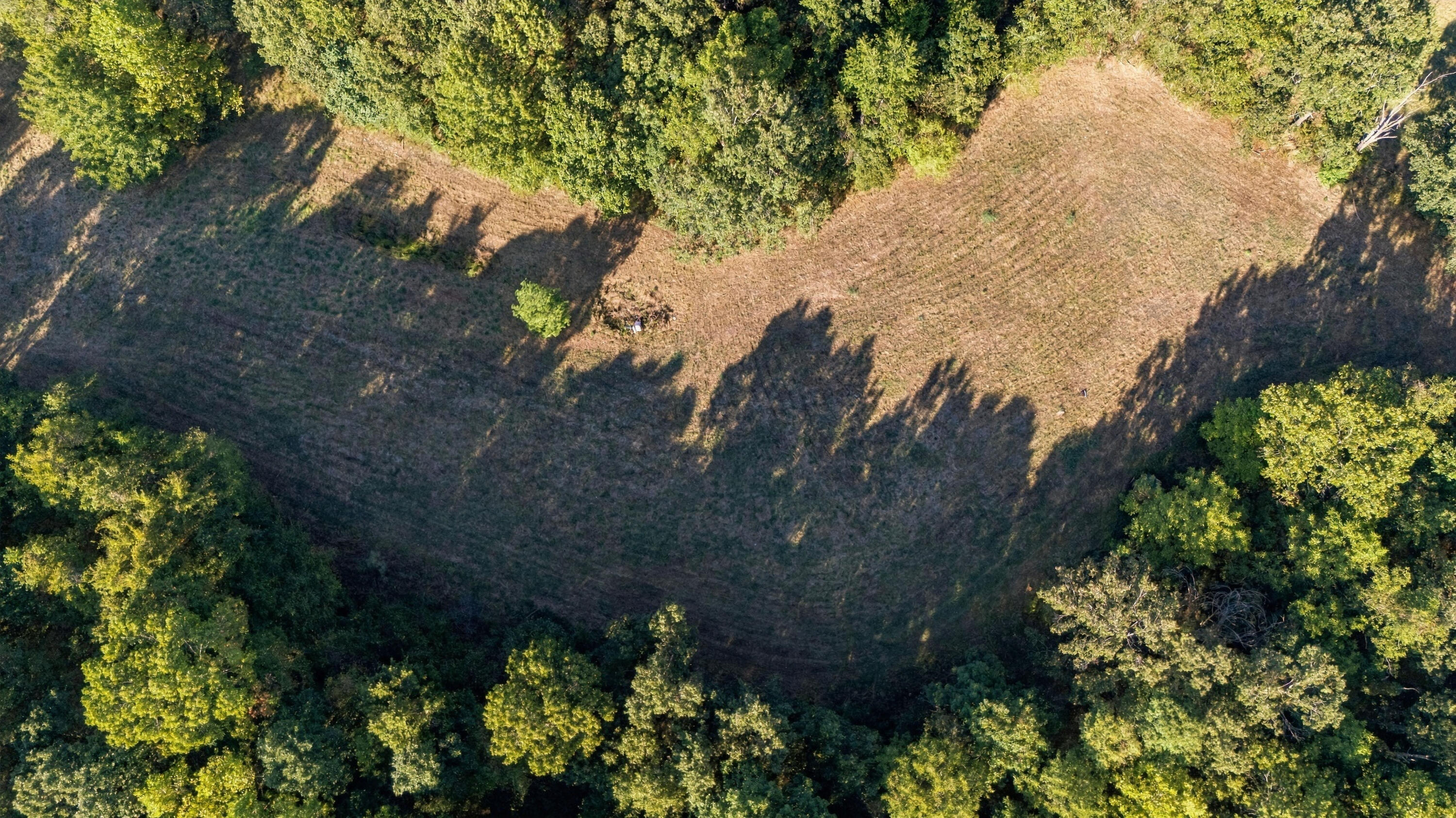 Photo 20 - Land for sale – 000  County Road 9160   Koshkonong, MO
