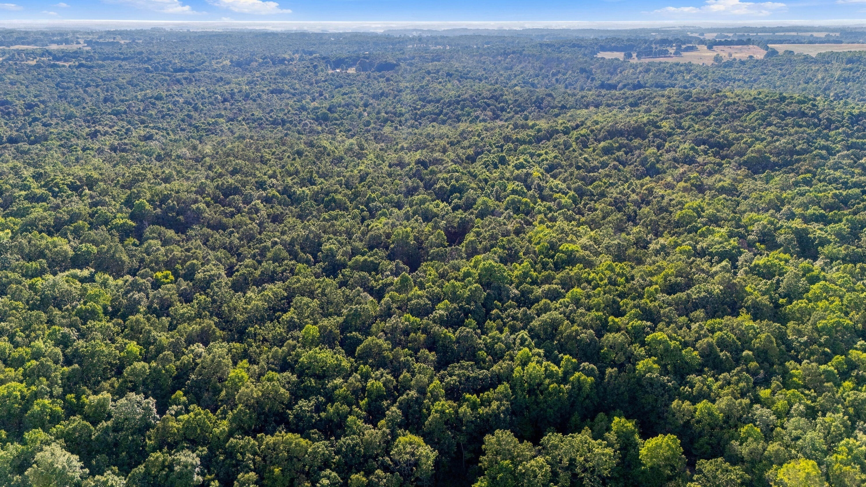 Photo 19 - Land for sale – 000  County Road 9160   Koshkonong, MO