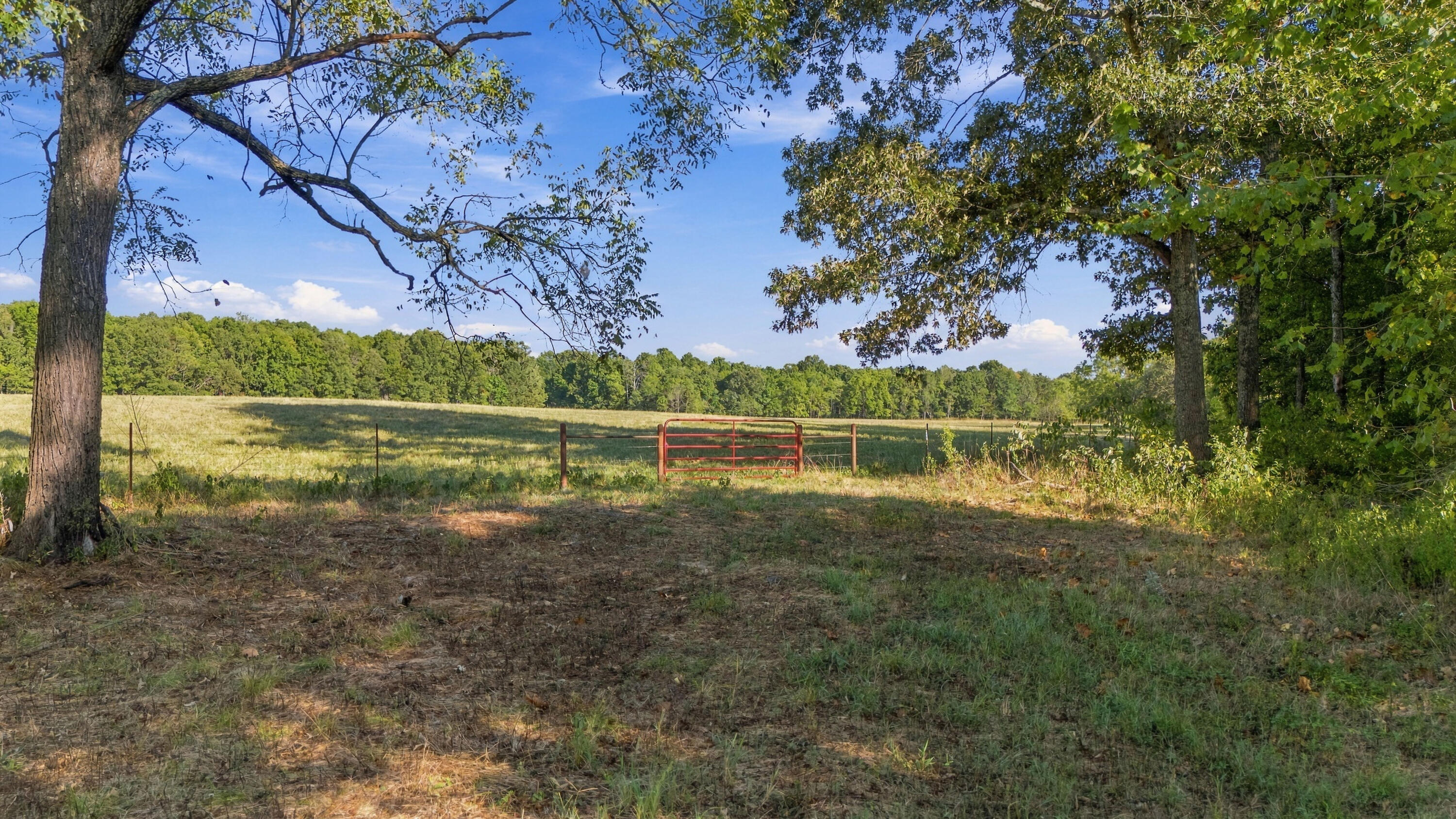 Photo 2 - Land for sale – 000  County Road 9160   Koshkonong, MO
