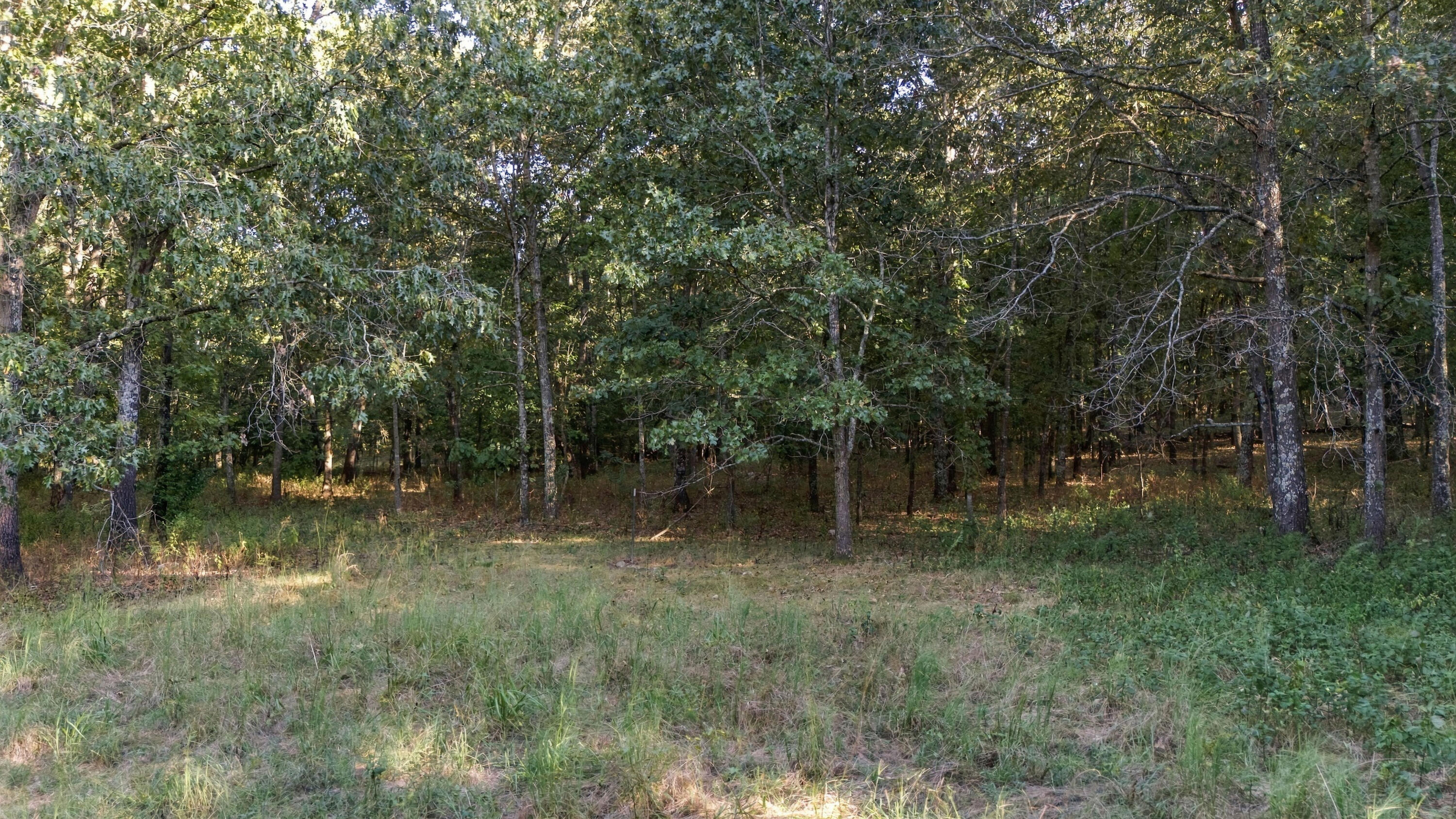 Photo 21 - Land for sale – 000  County Road 9160   Koshkonong, MO