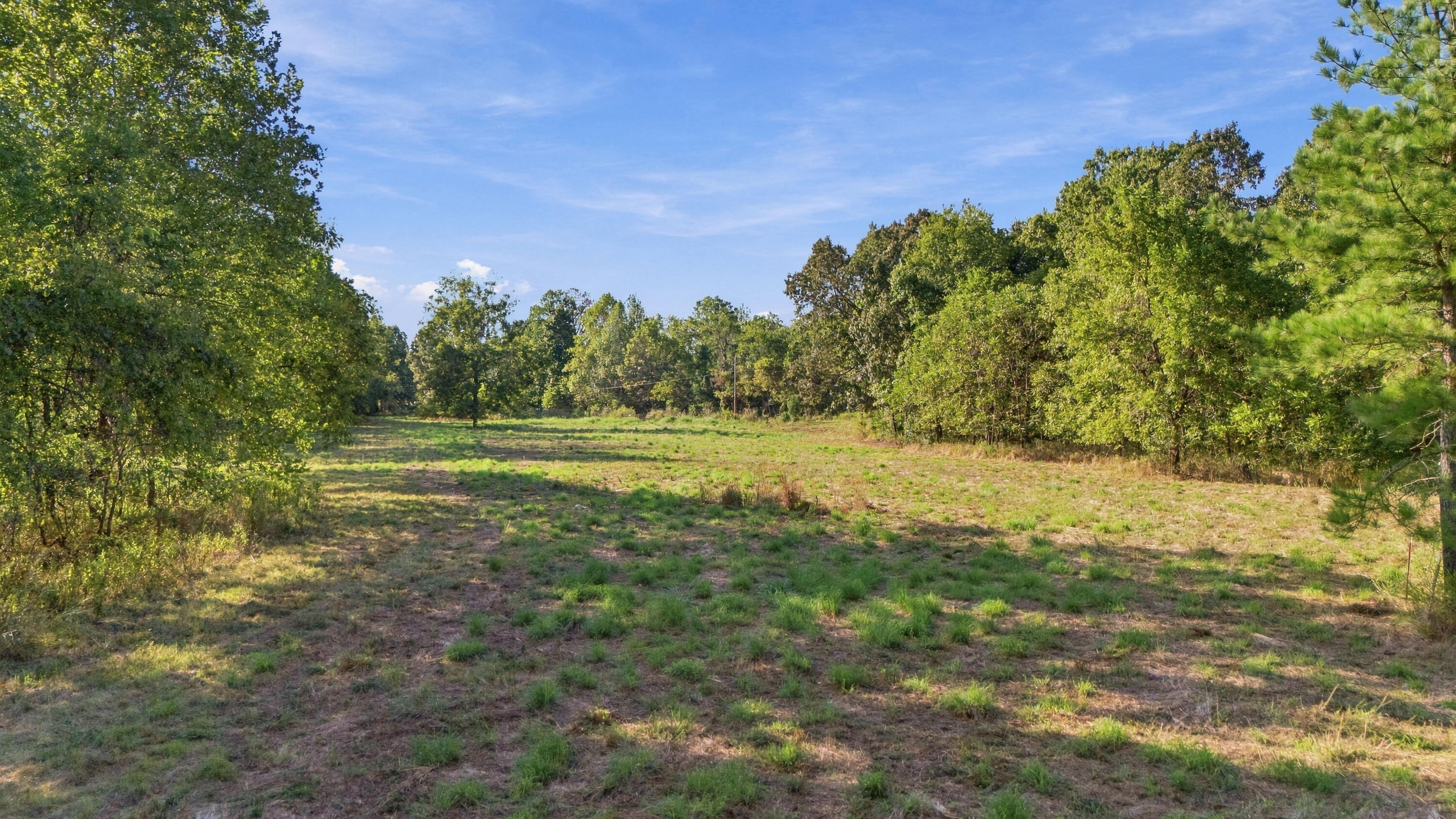 Photo 5 - Land for sale – 000  County Road 9160   Koshkonong, MO