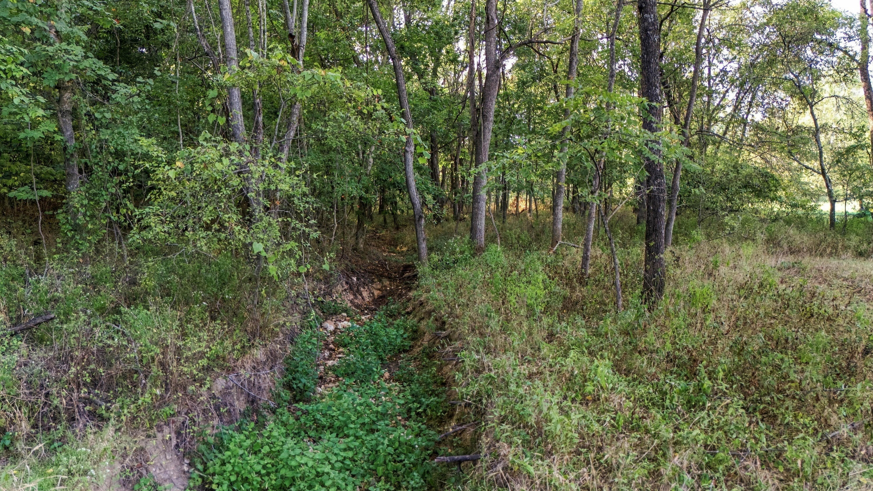 Photo 22 - Land for sale – 000  County Road 9160   Koshkonong, MO