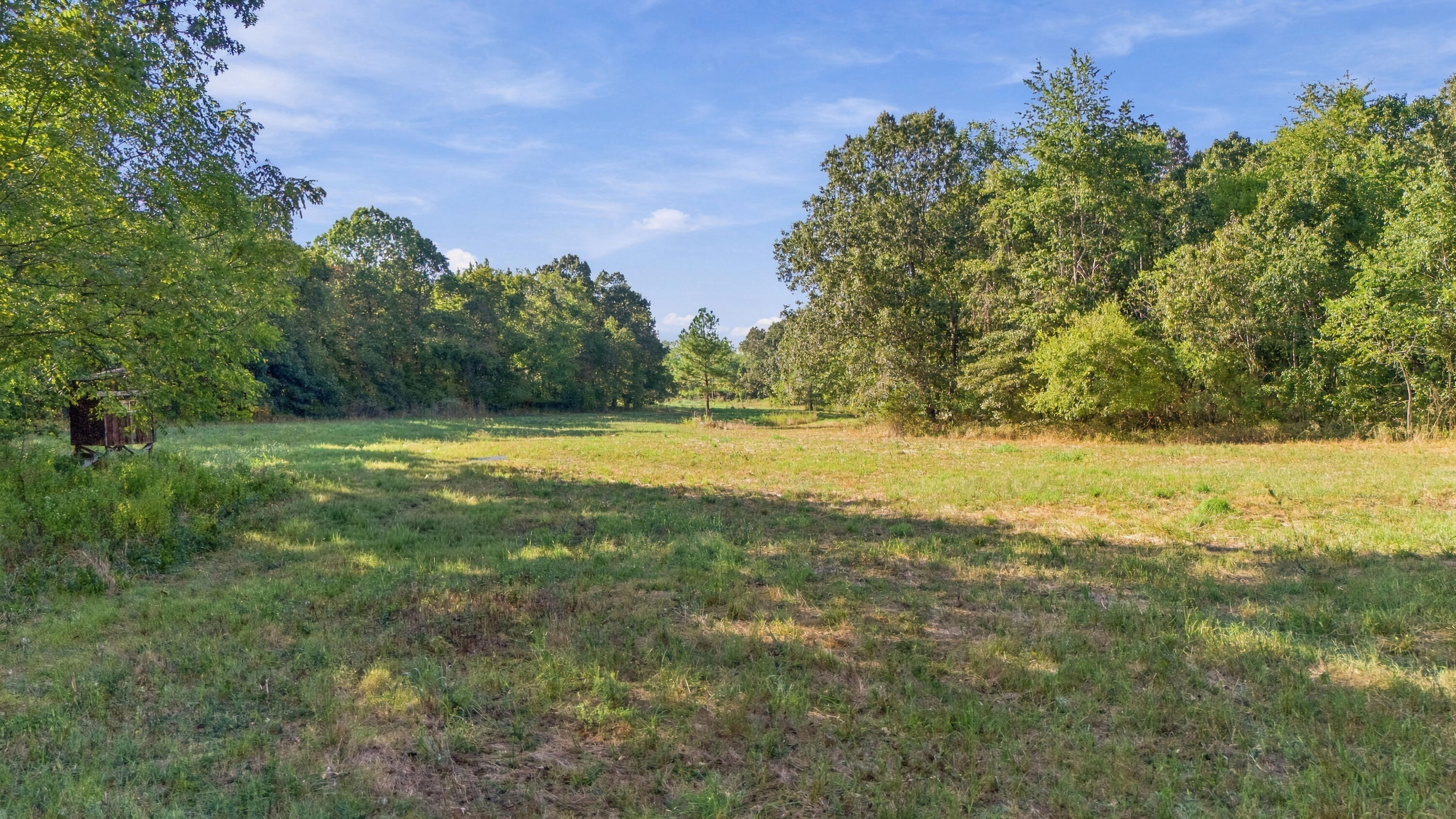 Photo 3 - Land for sale – 000  County Road 9160   Koshkonong, MO