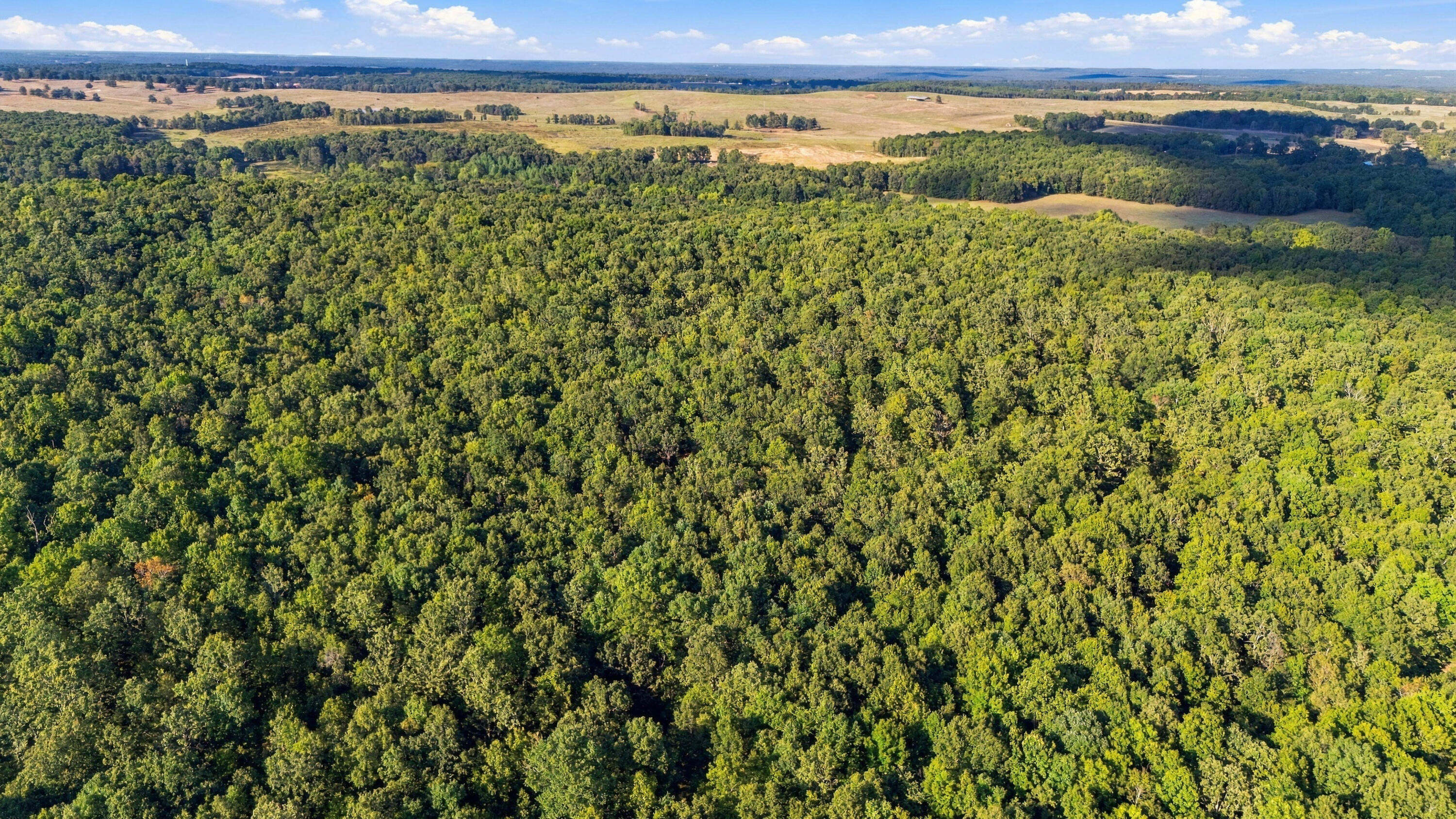 Photo 8 - Land for sale – 000  County Road 9160   Koshkonong, MO