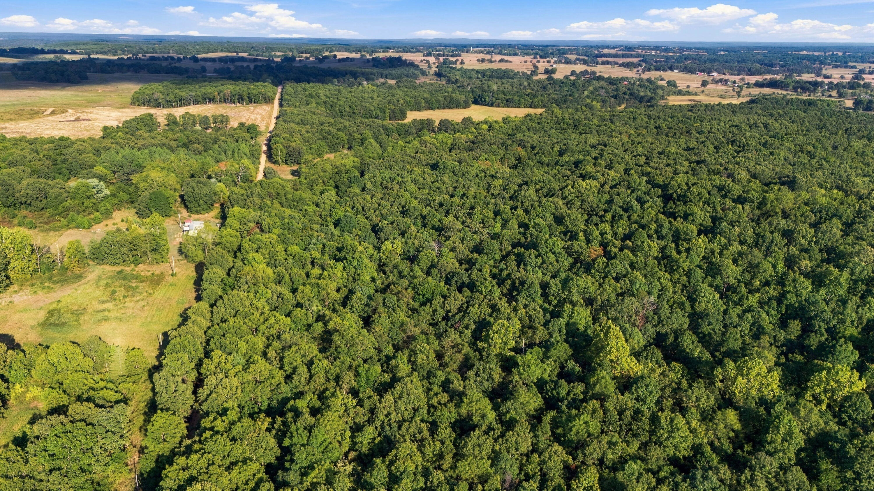 Photo 12 - Land for sale – 000  County Road 9160   Koshkonong, MO
