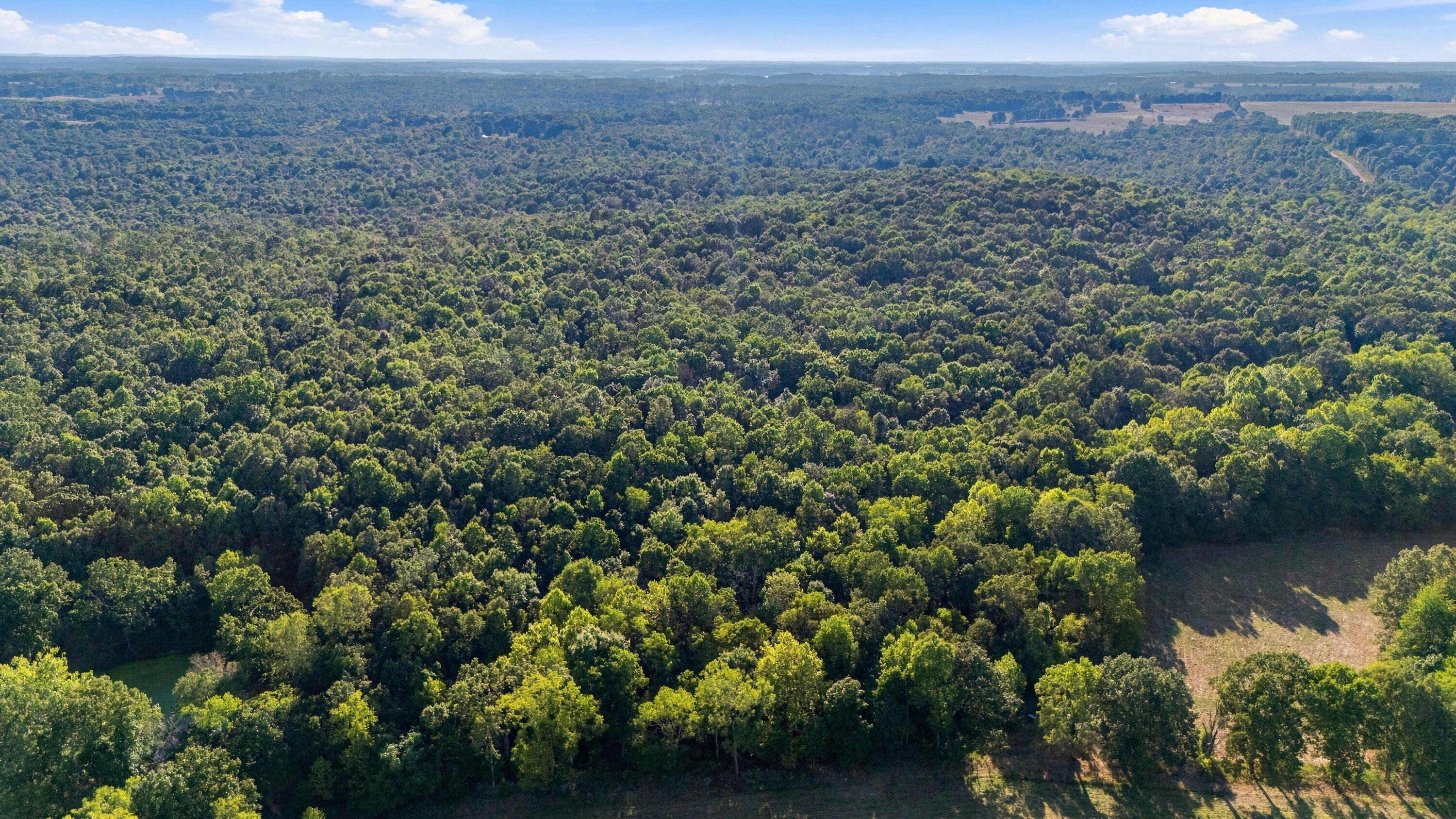 Photo 18 - Land for sale – 000  County Road 9160   Koshkonong, MO
