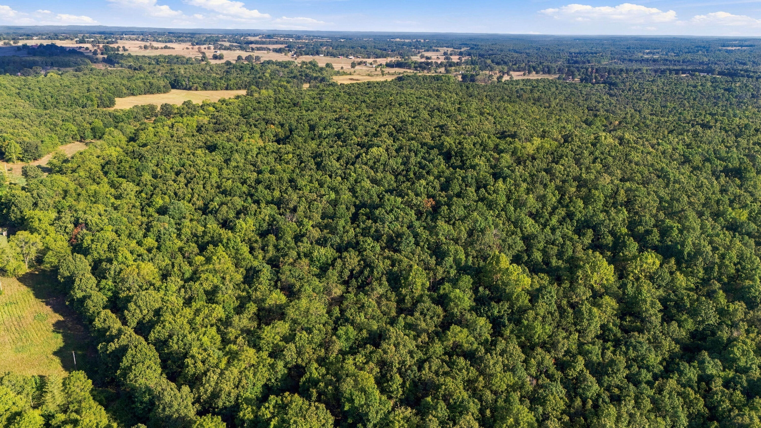 Photo 11 - Land for sale – 000  County Road 9160   Koshkonong, MO