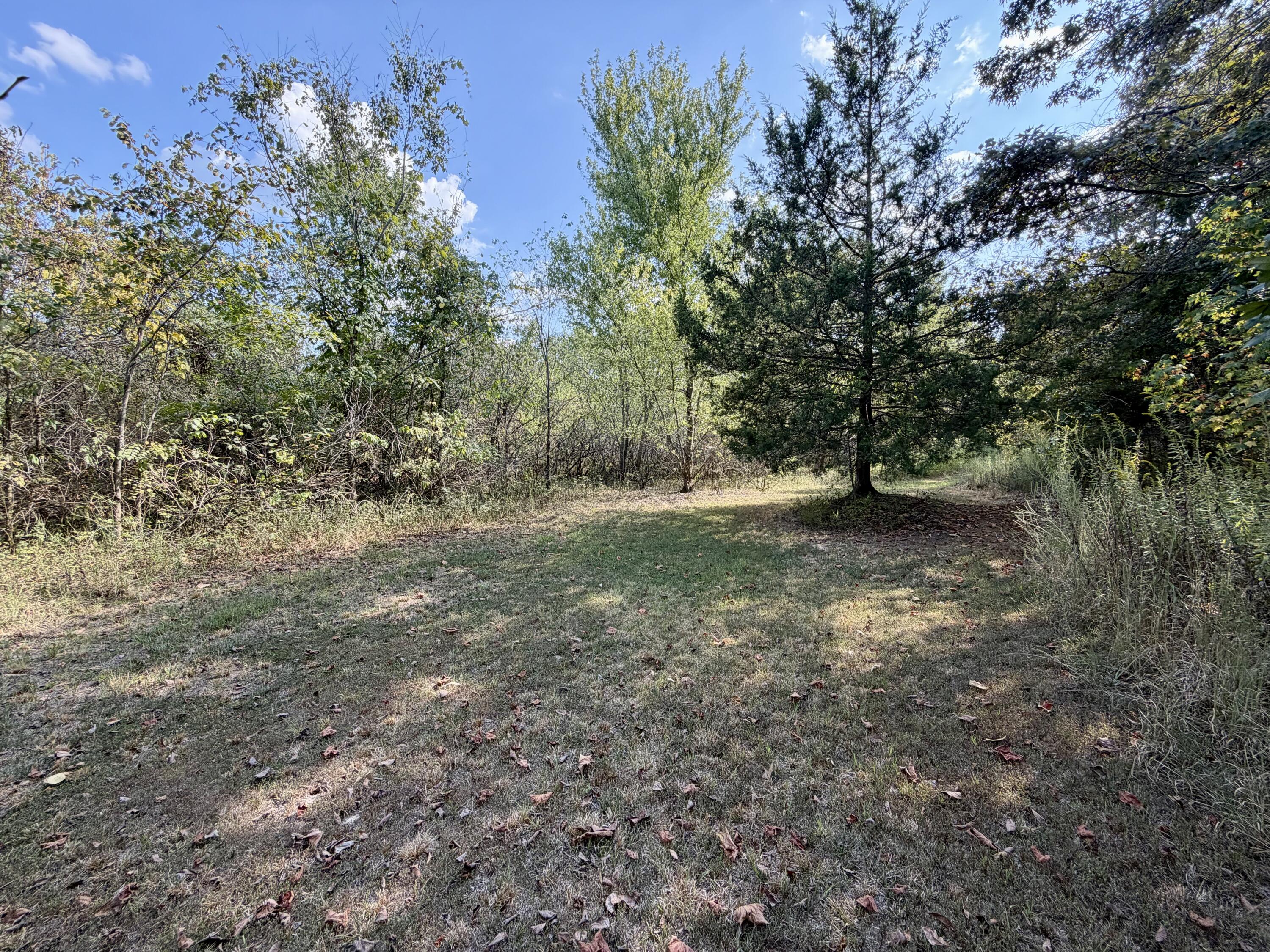 Photo 25 - Residential for sale – 960  County Road 412   Alton, MO