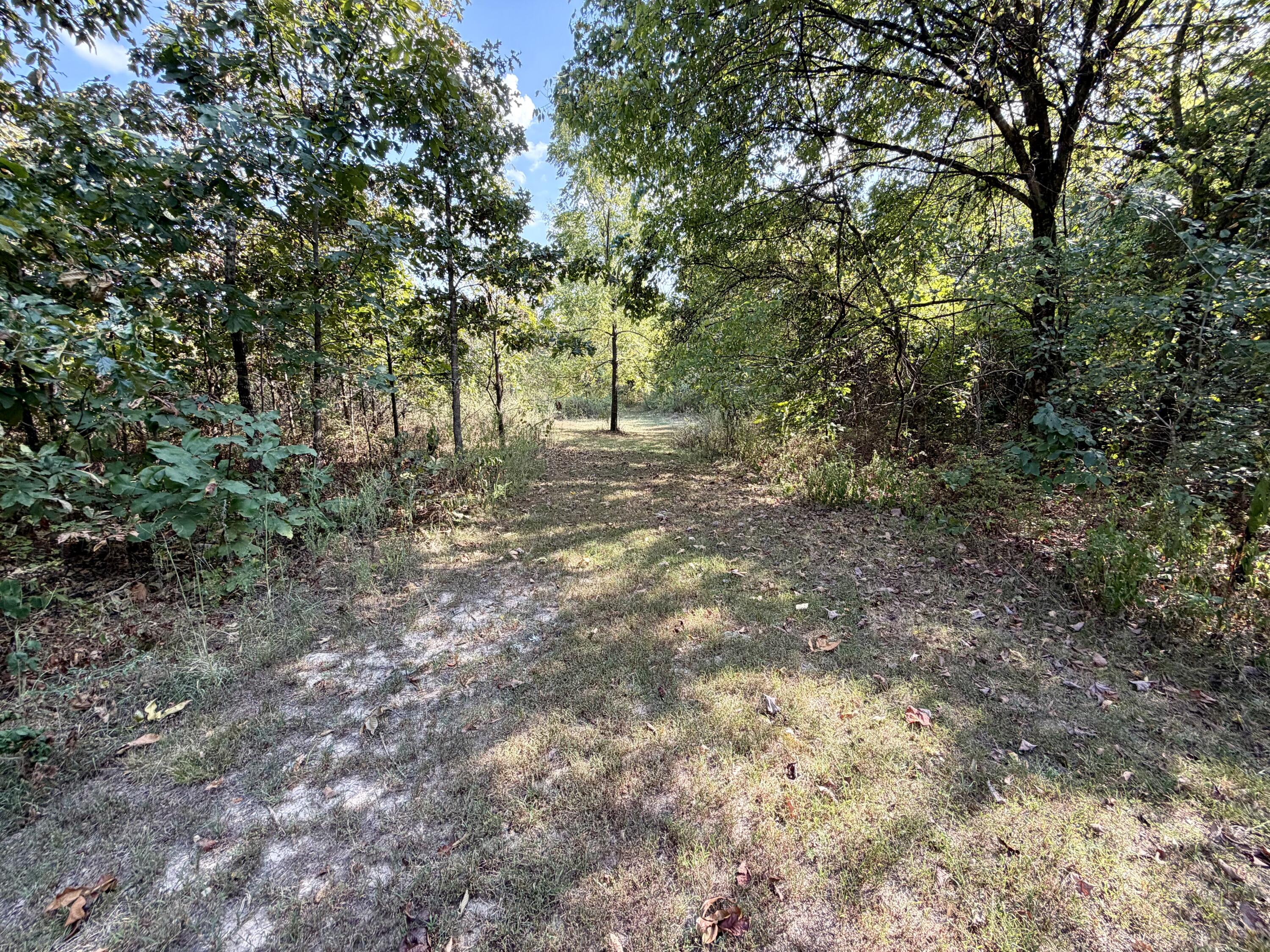 Photo 24 - Residential for sale – 960  County Road 412   Alton, MO