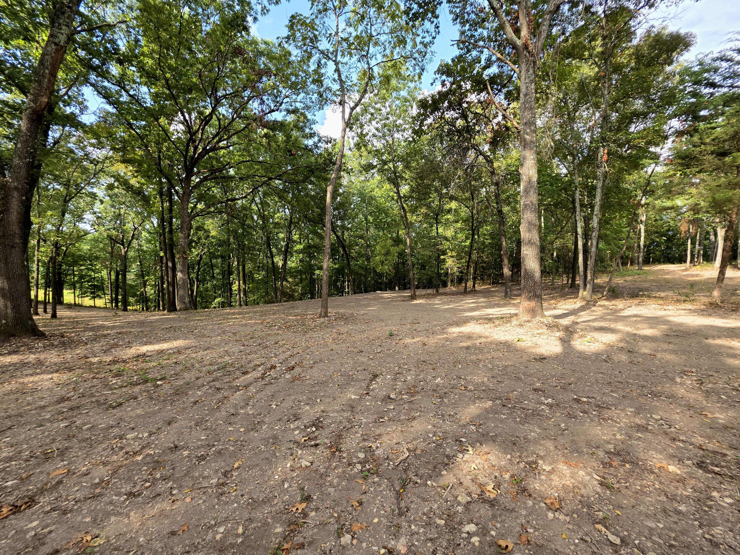 Photo 13 - Land for sale – Tract 5  Whispering Windings Court   Walnut Shade, MO