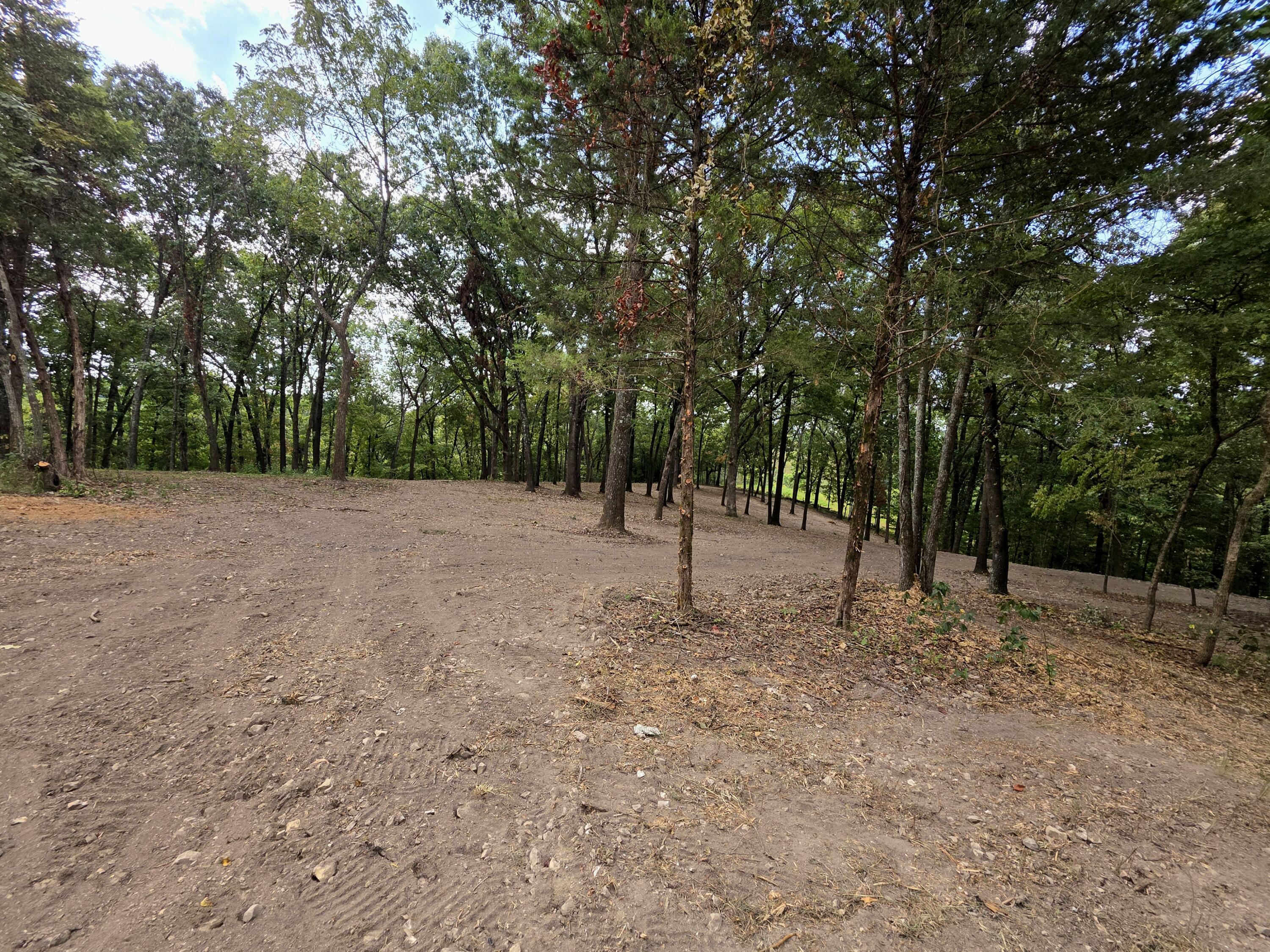 Photo 17 - Land for sale – Tract 5  Whispering Windings Court   Walnut Shade, MO
