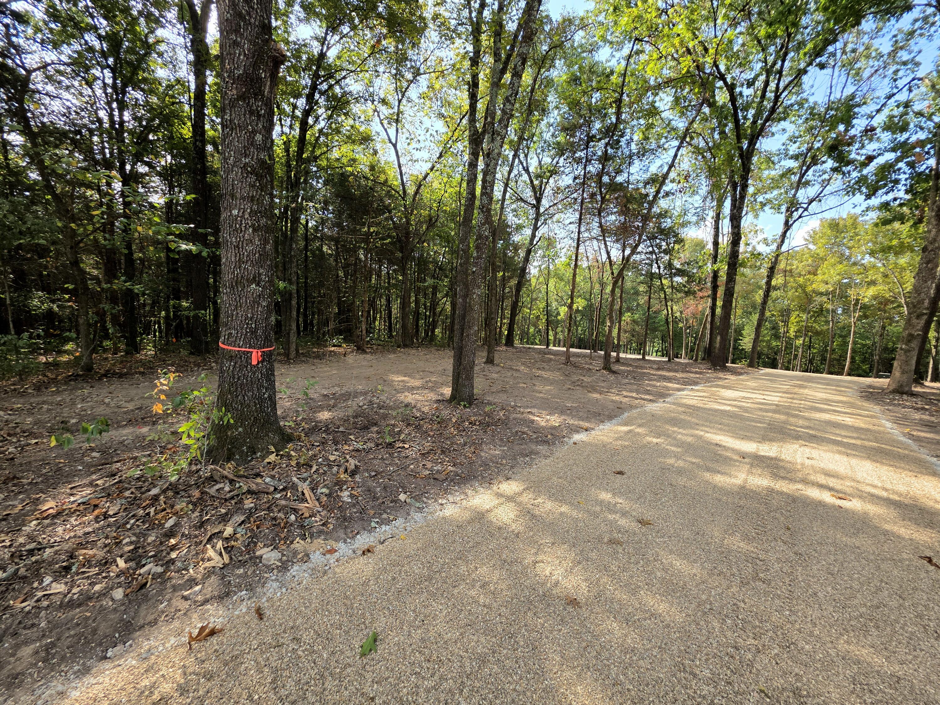 Photo 7 - Land for sale – Tract 5  Whispering Windings Court   Walnut Shade, MO