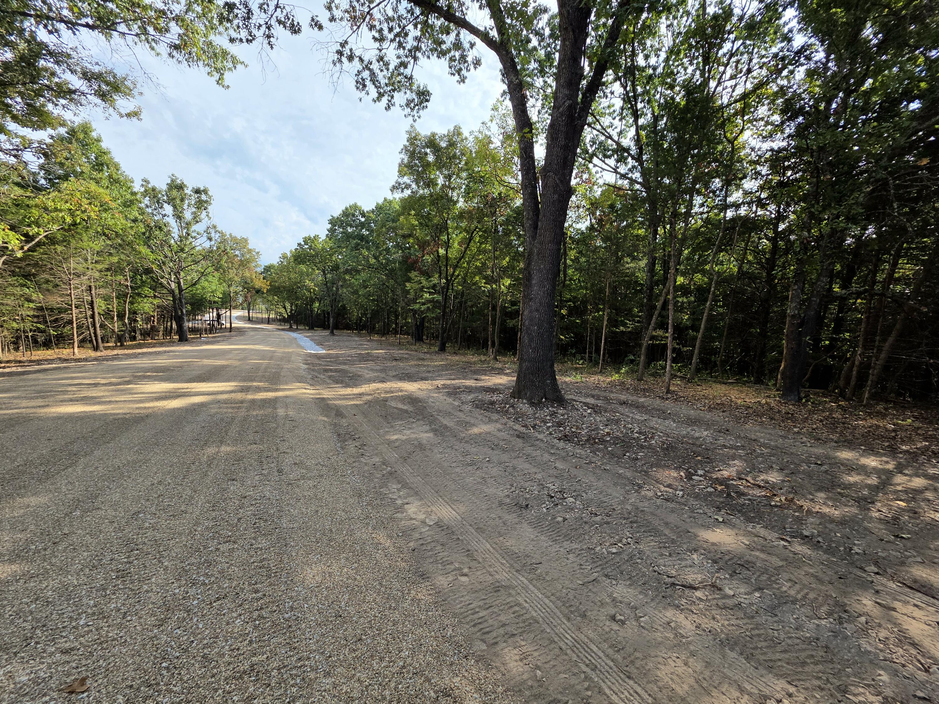 Photo 6 - Land for sale – Tract 5  Whispering Windings Court   Walnut Shade, MO