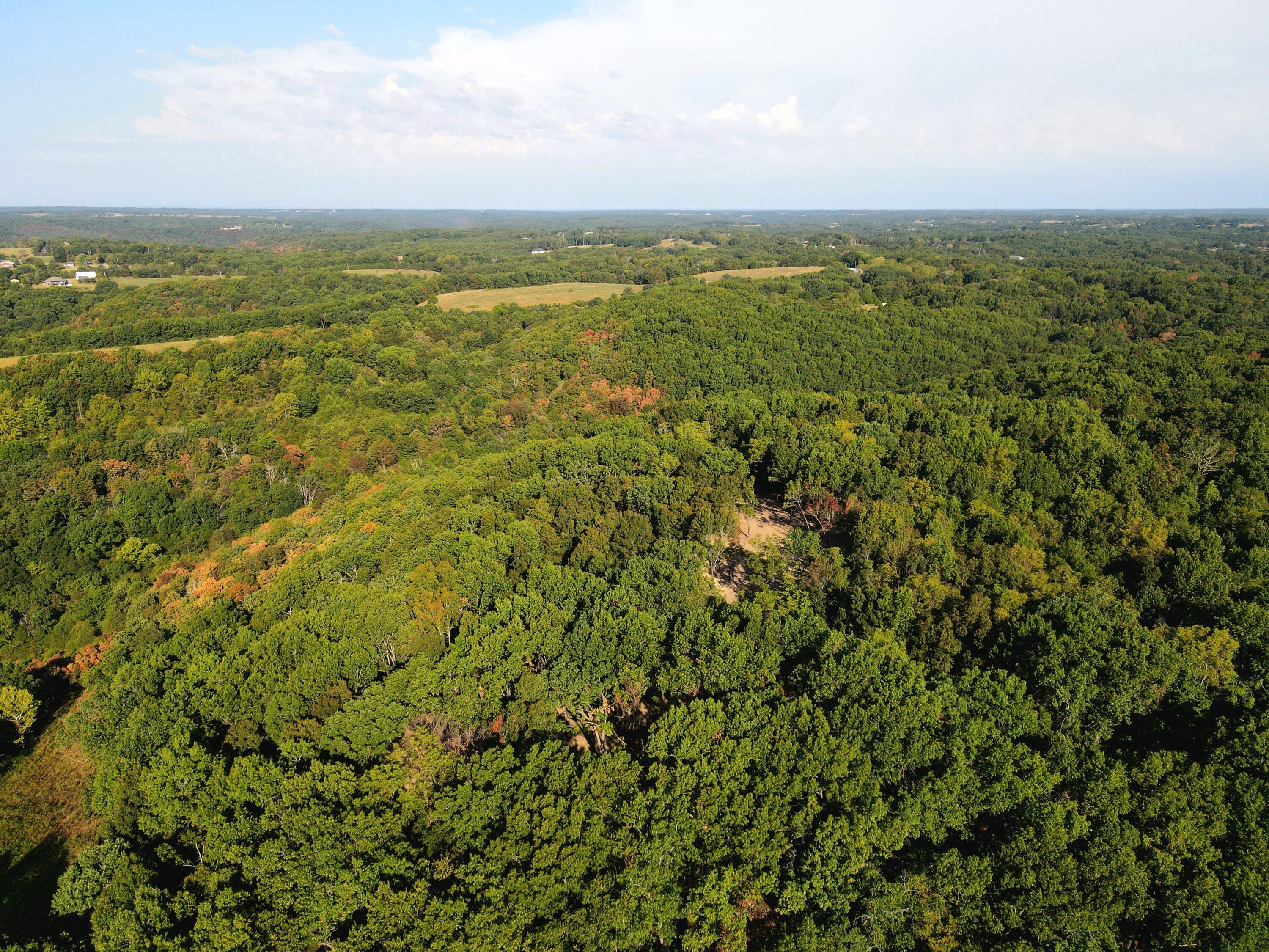 Photo 30 - Land for sale – Tract 5  Whispering Windings Court   Walnut Shade, MO