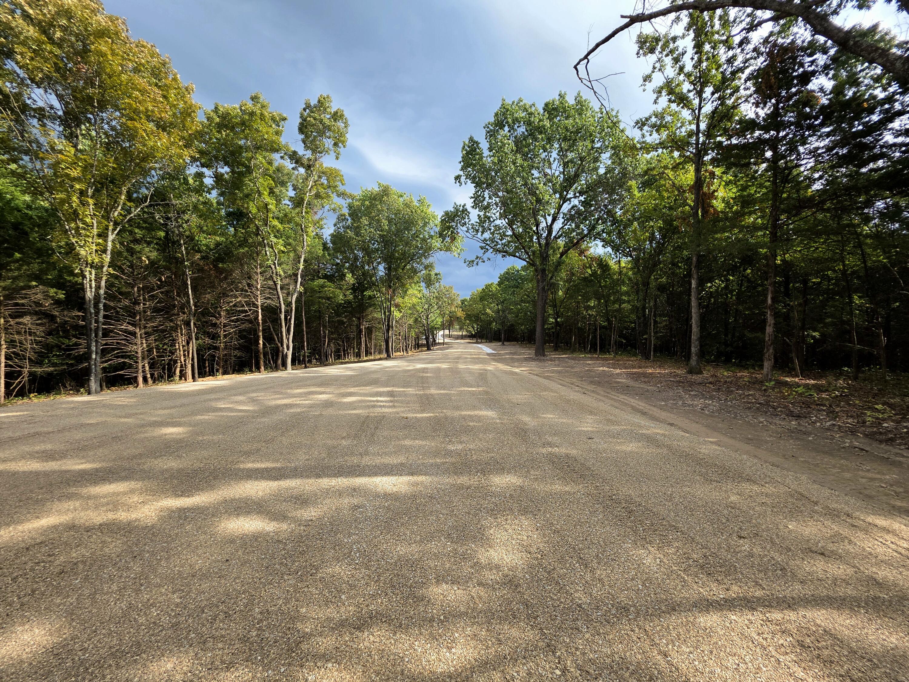 Photo 5 - Land for sale – Tract 5  Whispering Windings Court   Walnut Shade, MO
