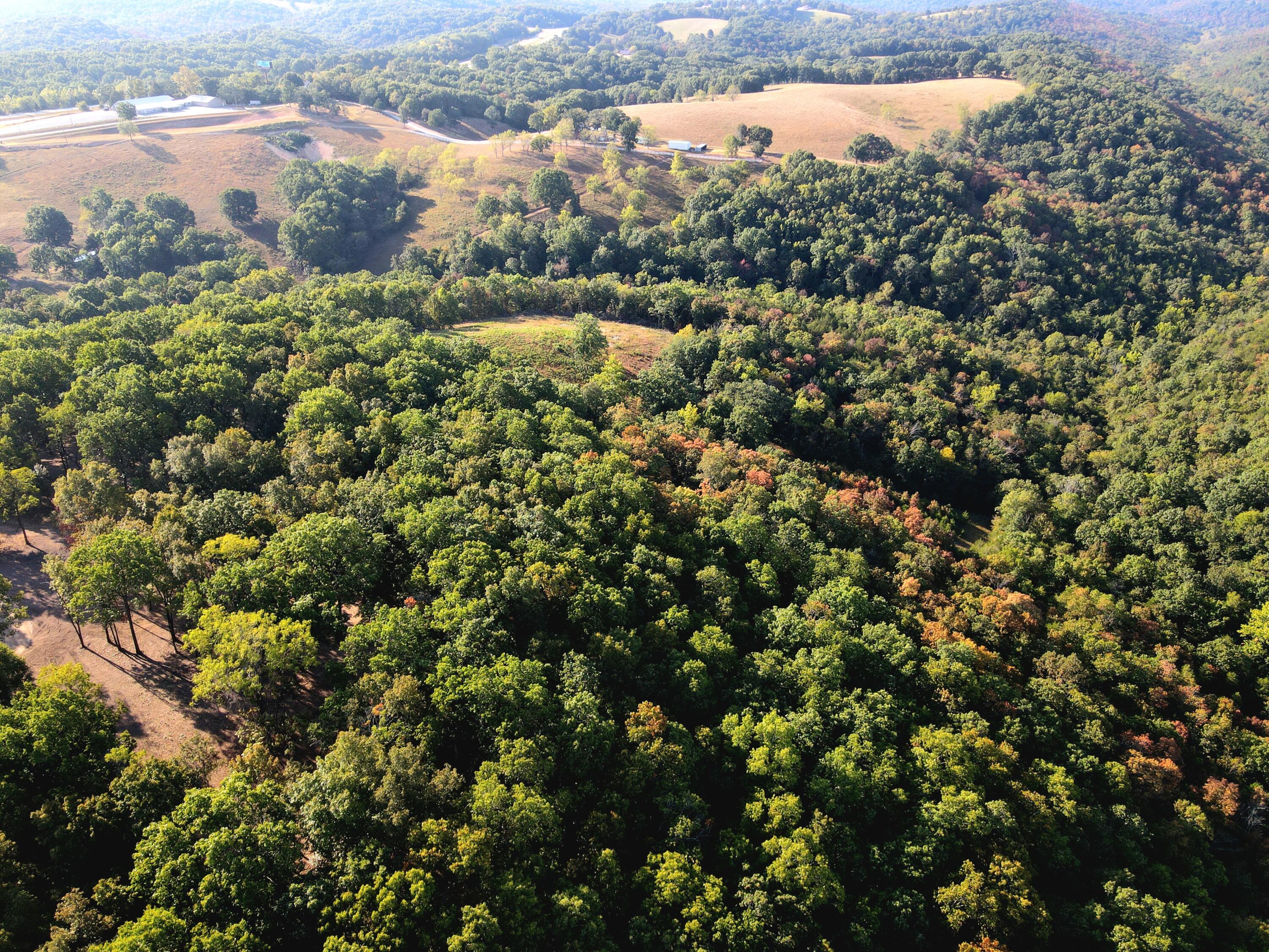 Photo 28 - Land for sale – Tract 5  Whispering Windings Court   Walnut Shade, MO
