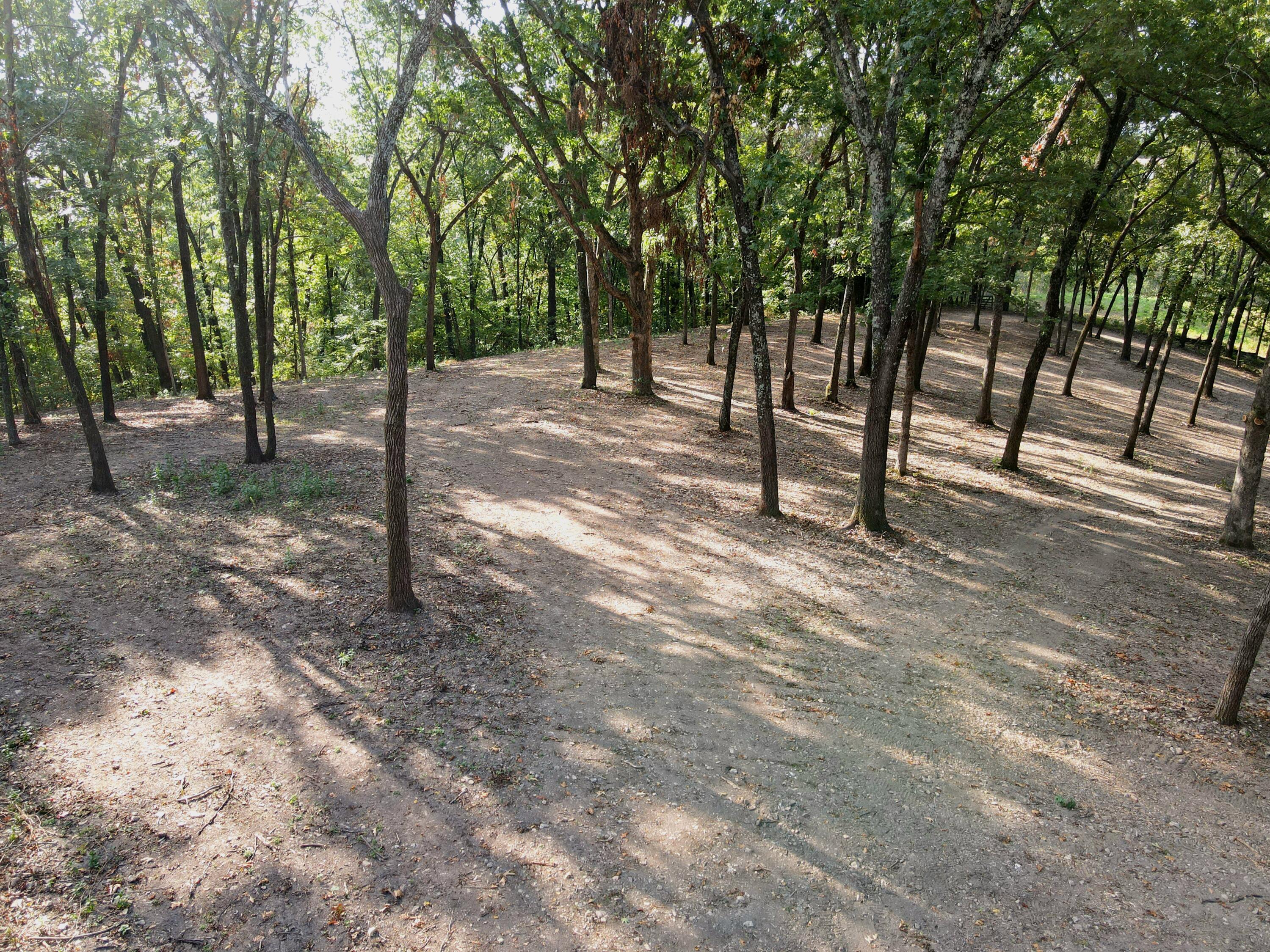 Photo 25 - Land for sale – Tract 5  Whispering Windings Court   Walnut Shade, MO