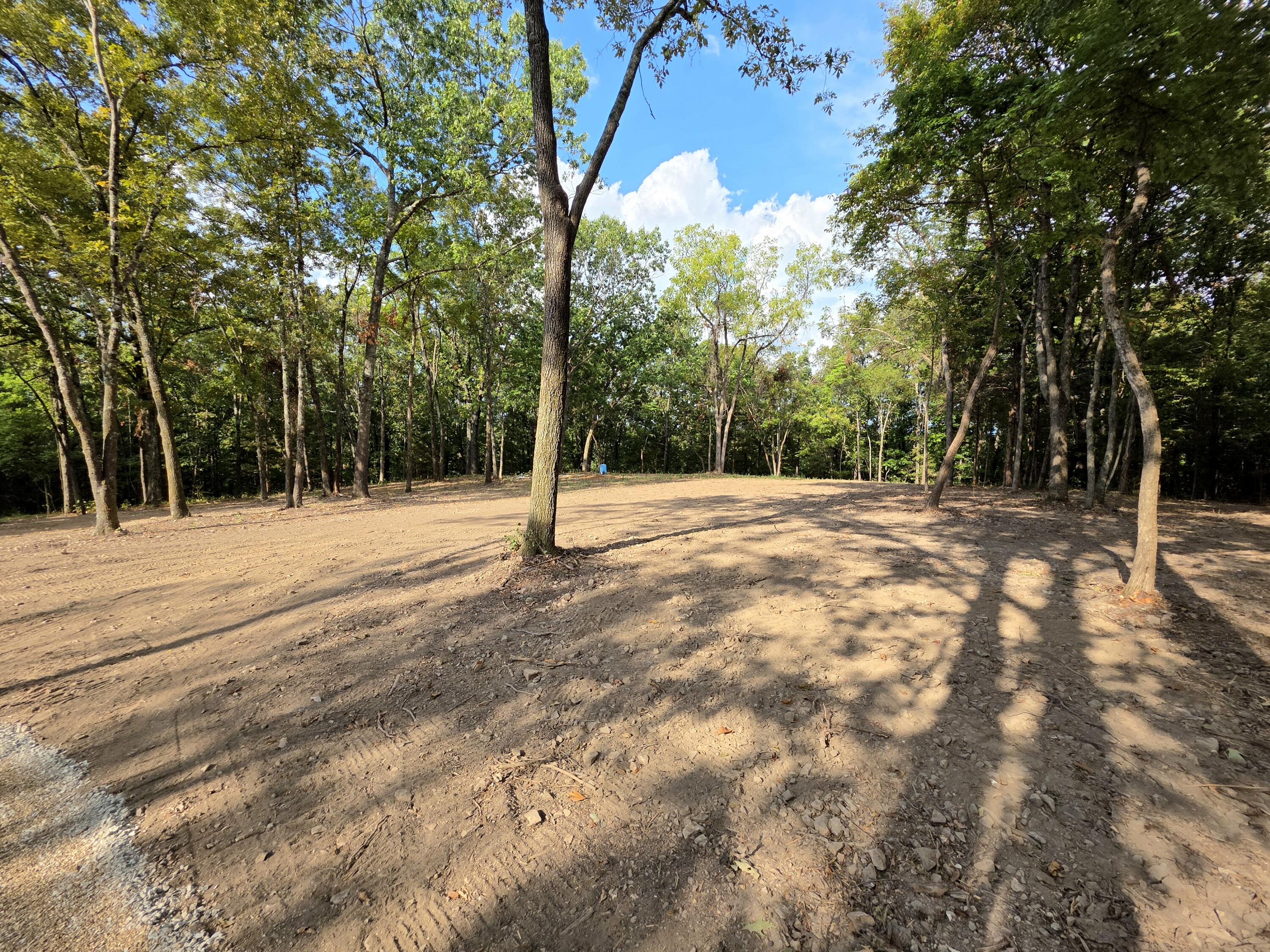 Photo 9 - Land for sale – Tract 5  Whispering Windings Court   Walnut Shade, MO