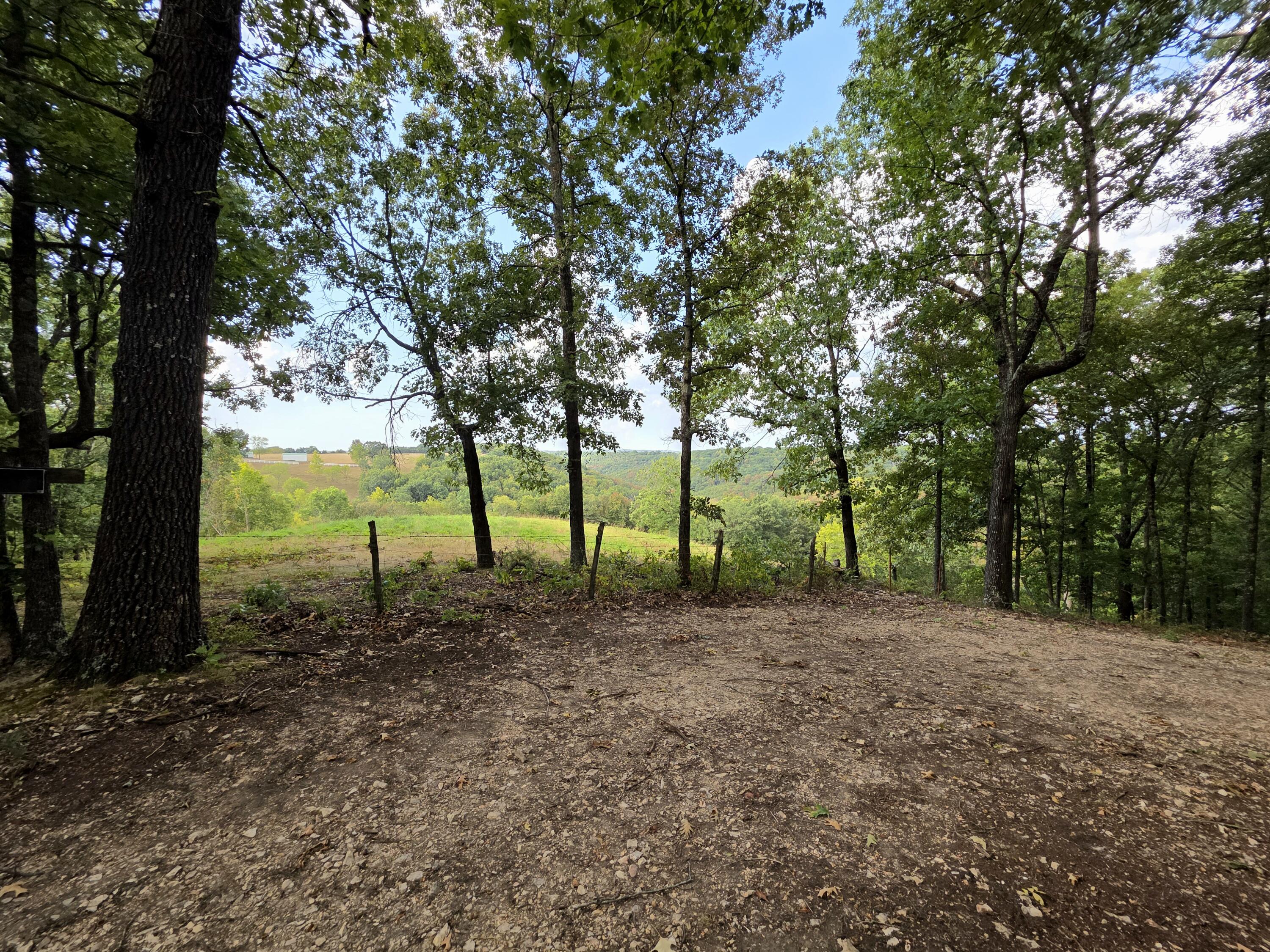 Photo 15 - Land for sale – Tract 5  Whispering Windings Court   Walnut Shade, MO