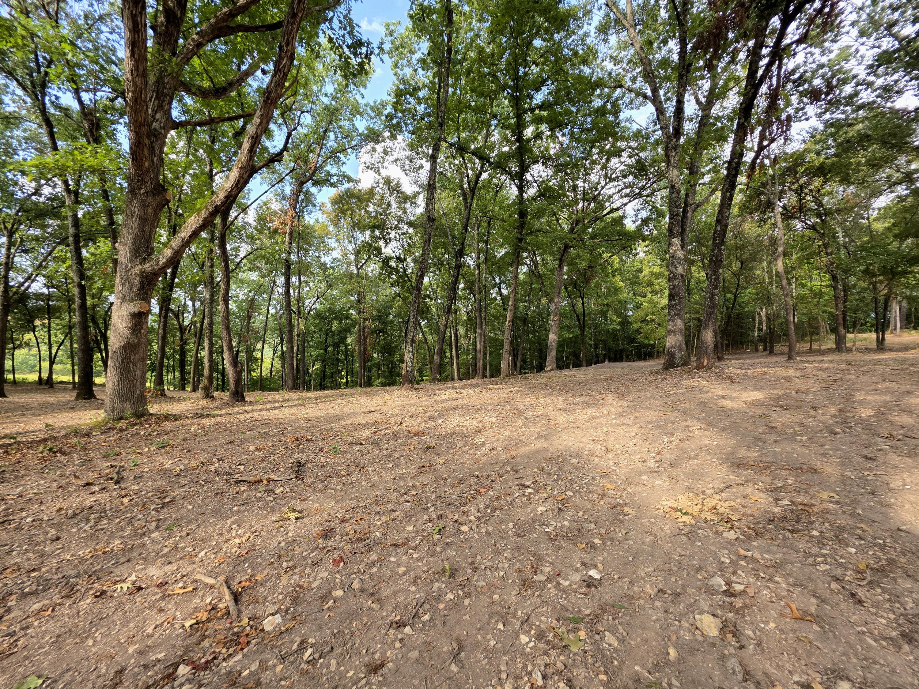 Photo 14 - Land for sale – Tract 5  Whispering Windings Court   Walnut Shade, MO