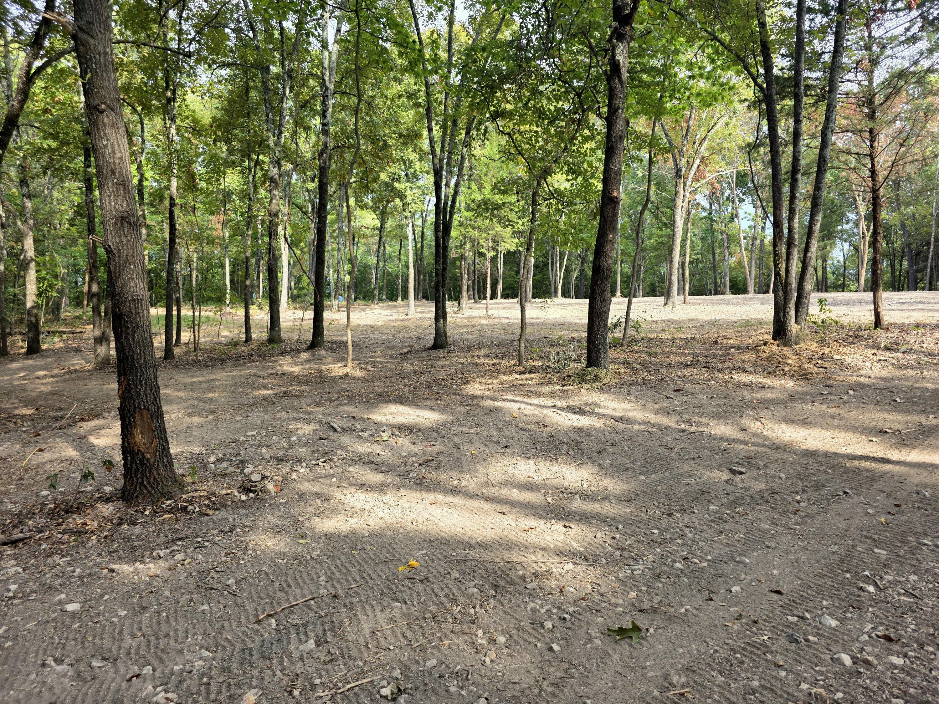 Photo 16 - Land for sale – Tract 5  Whispering Windings Court   Walnut Shade, MO