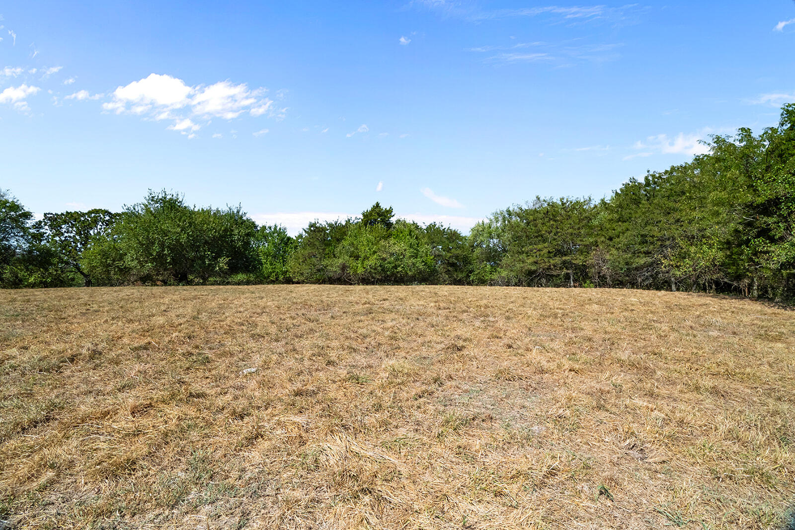 Photo 27 - Land for sale – 000 W Farm Rd 168   Republic, MO