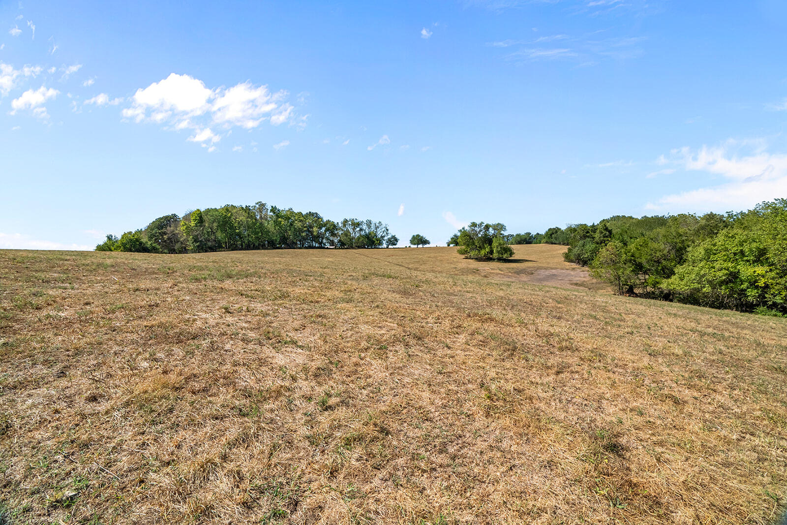Photo 24 - Land for sale – 000 W Farm Rd 168   Republic, MO