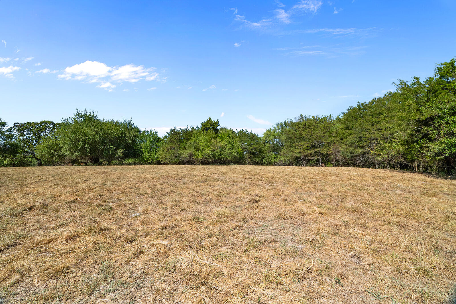 Photo 28 - Land for sale – 000 W Farm Rd 168   Republic, MO