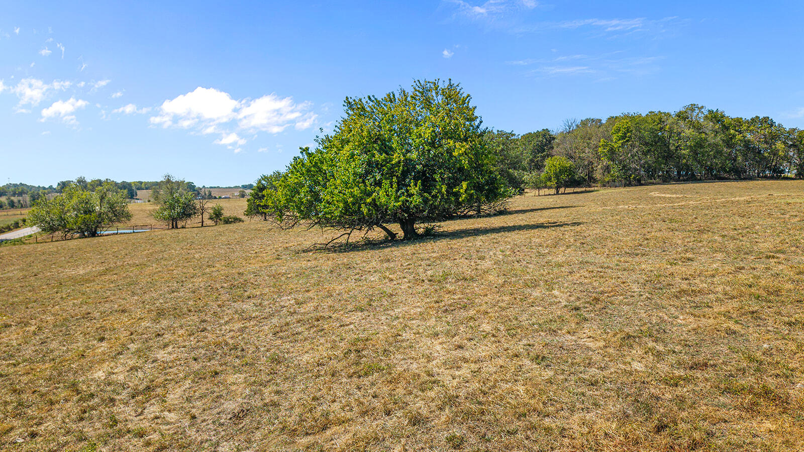 Photo 15 - Land for sale – 000 W Farm Rd 168   Republic, MO