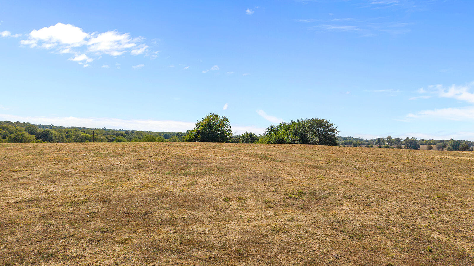 Photo 21 - Land for sale – 000 W Farm Rd 168   Republic, MO