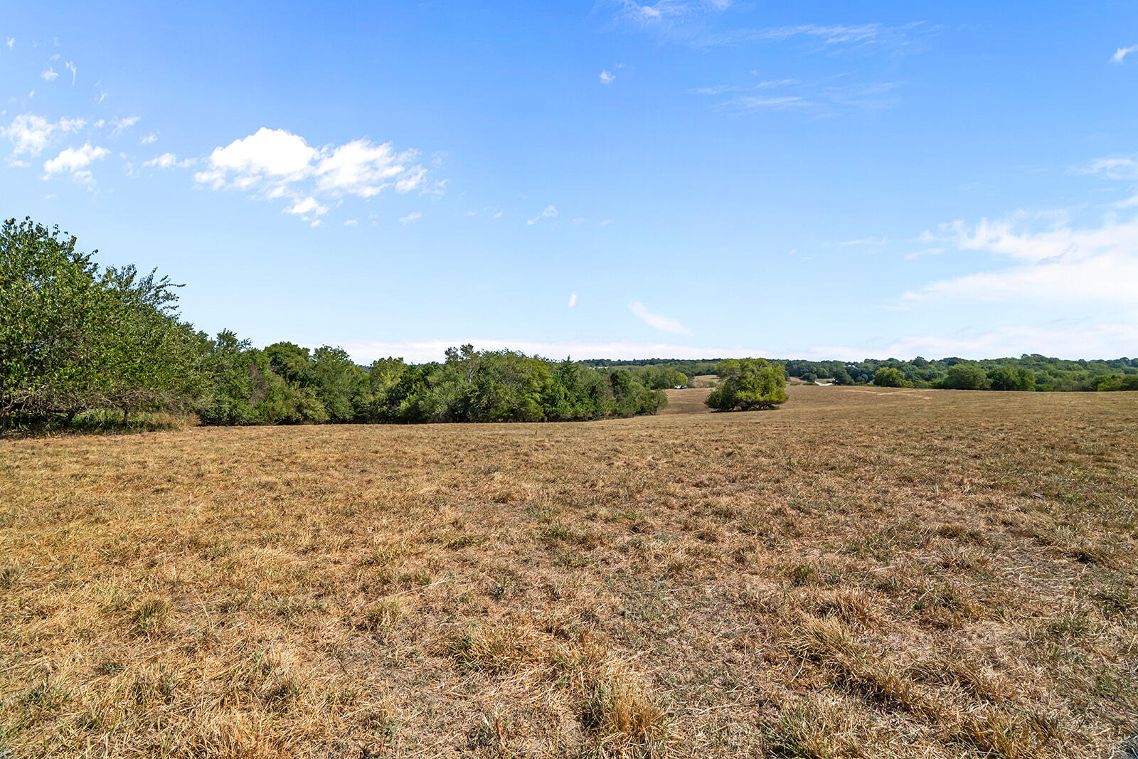 Photo 30 - Land for sale – 000 W Farm Rd 168   Republic, MO