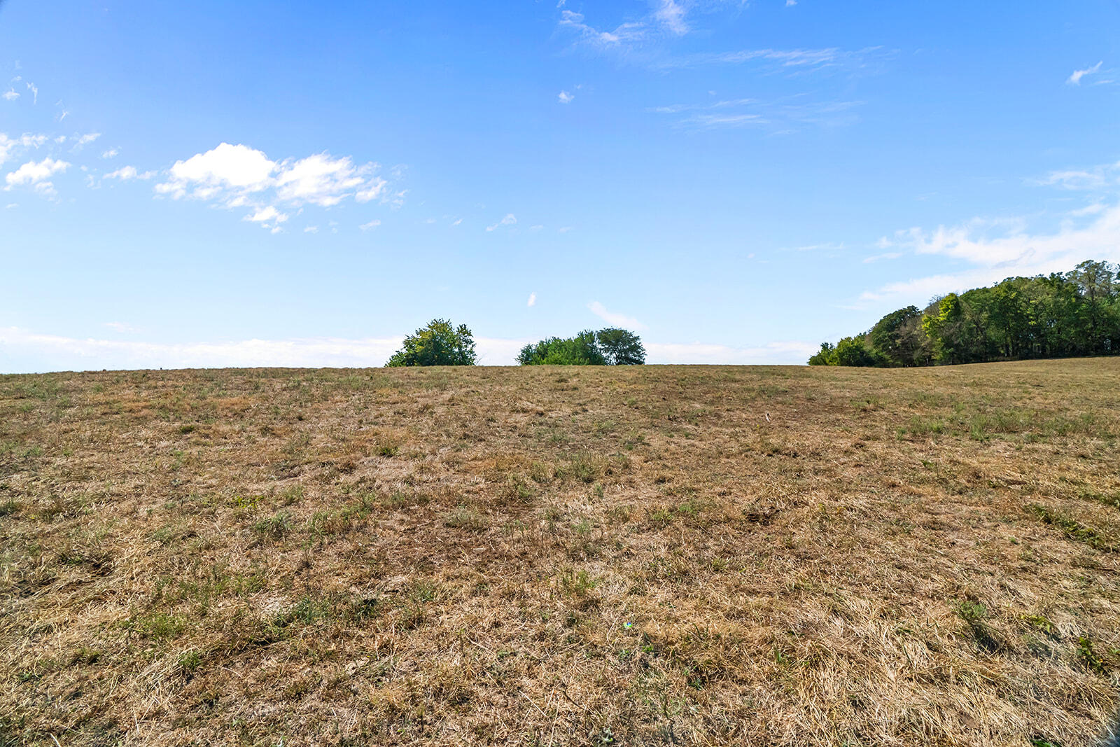 Photo 25 - Land for sale – 000 W Farm Rd 168   Republic, MO