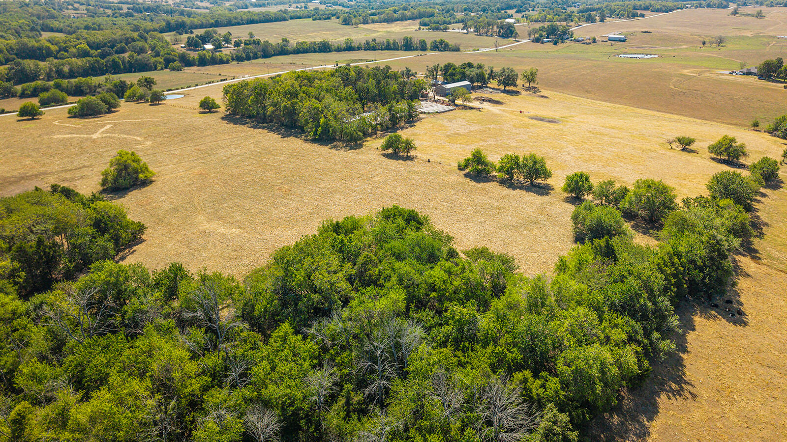 Photo 5 - Land for sale – 000 W Farm Rd 168   Republic, MO