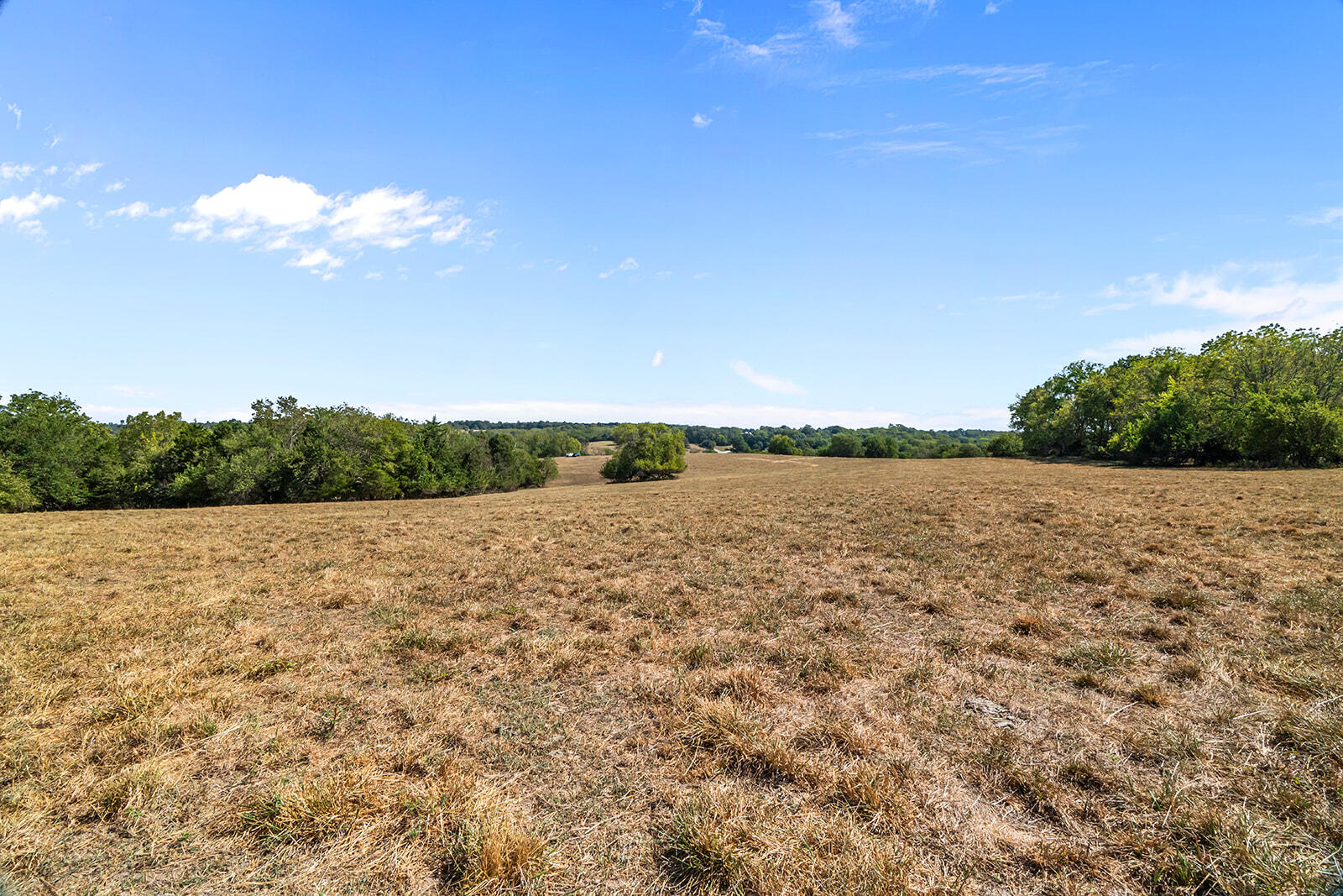 Photo 29 - Land for sale – 000 W Farm Rd 168   Republic, MO