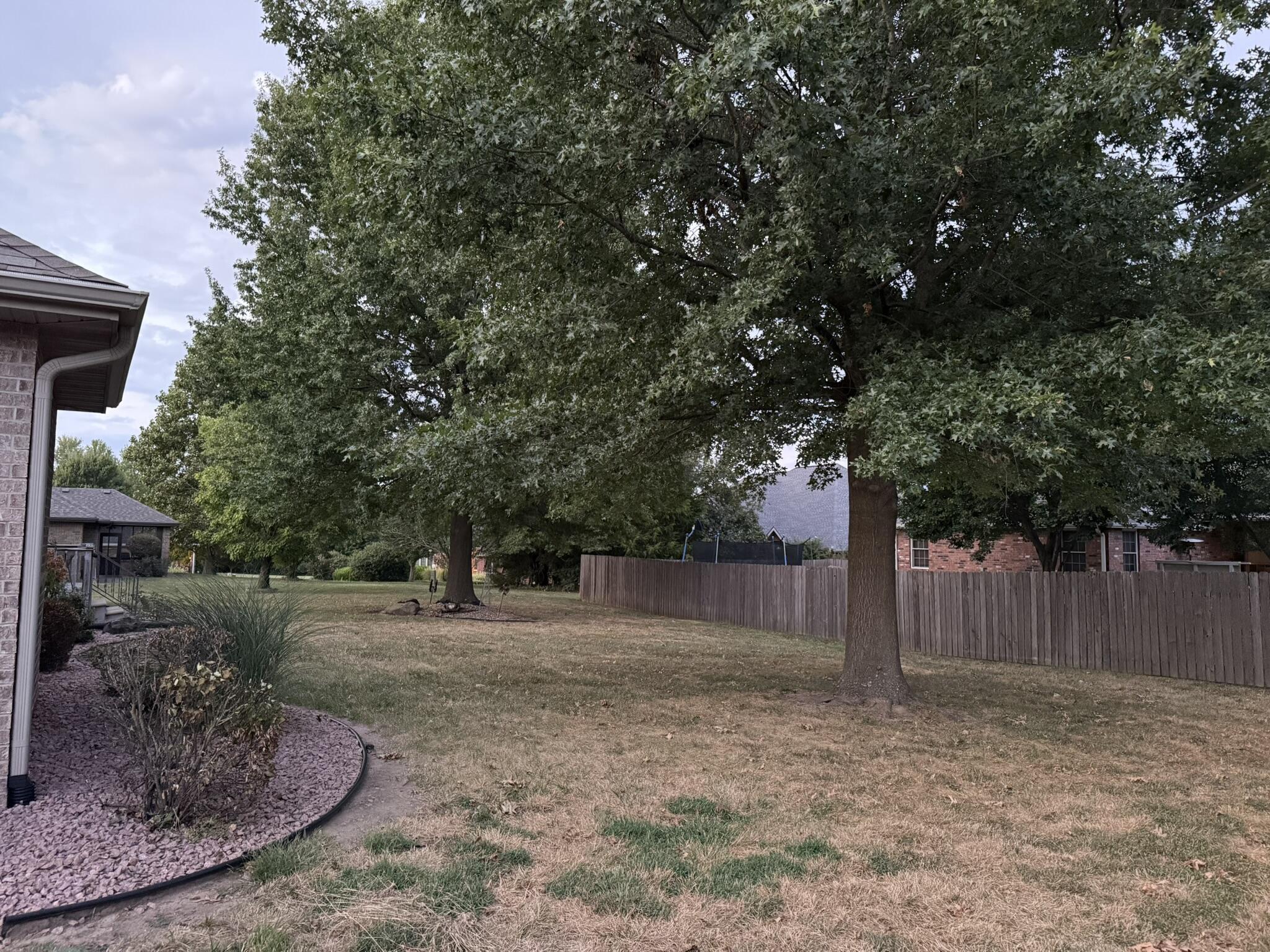 Photo 6 - Residential for sale – 1360 S Meadow Lane  Bolivar, MO