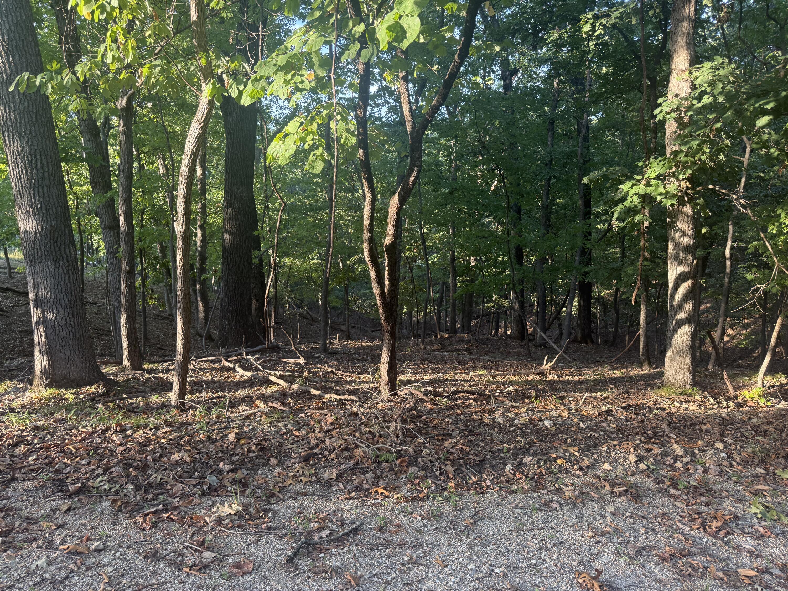 Photo 2 - Land for sale – 000  Lake Road  Sunrise Beach, MO