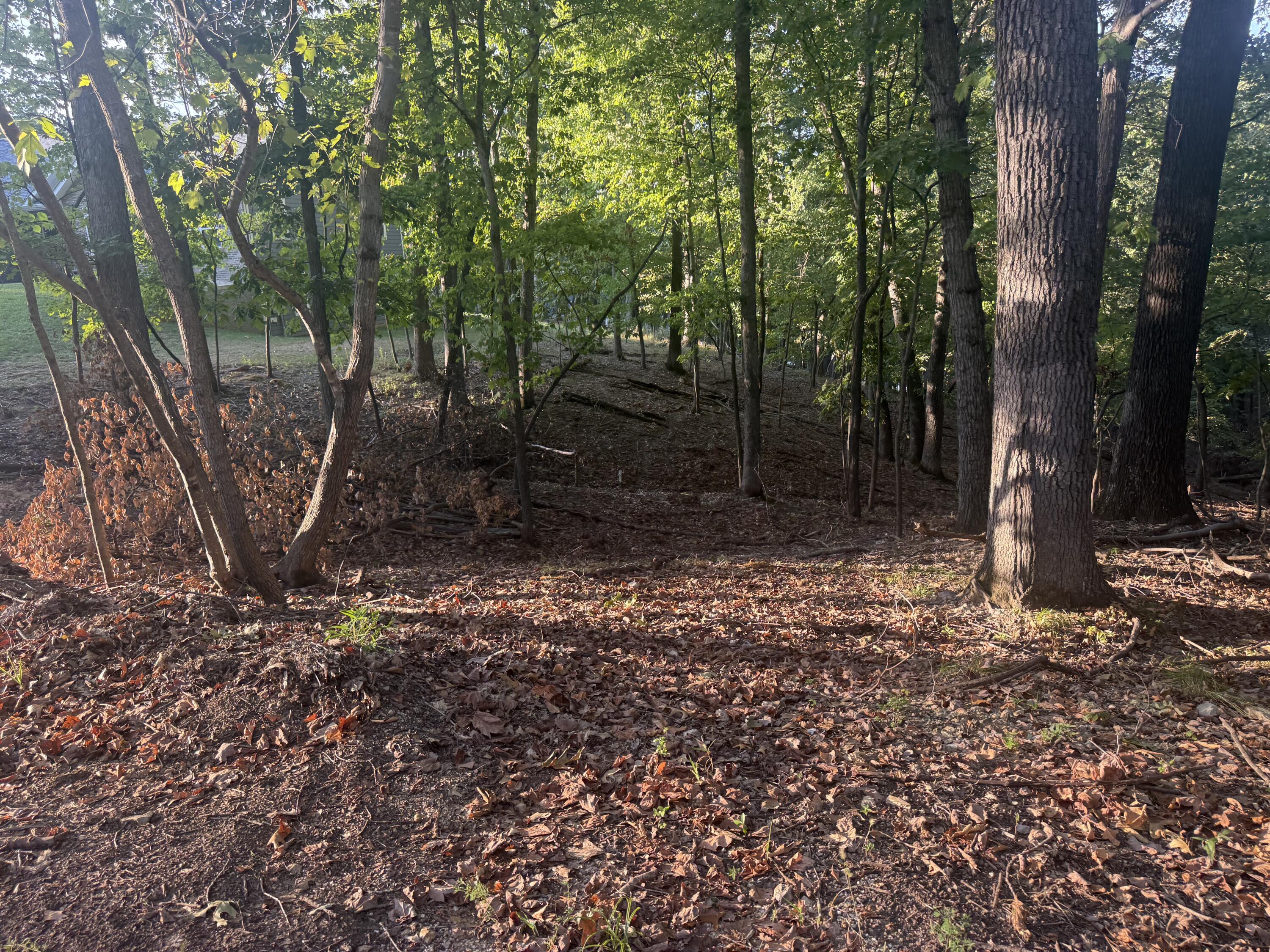 Land for sale – 000  Lake Road  Sunrise Beach, MO