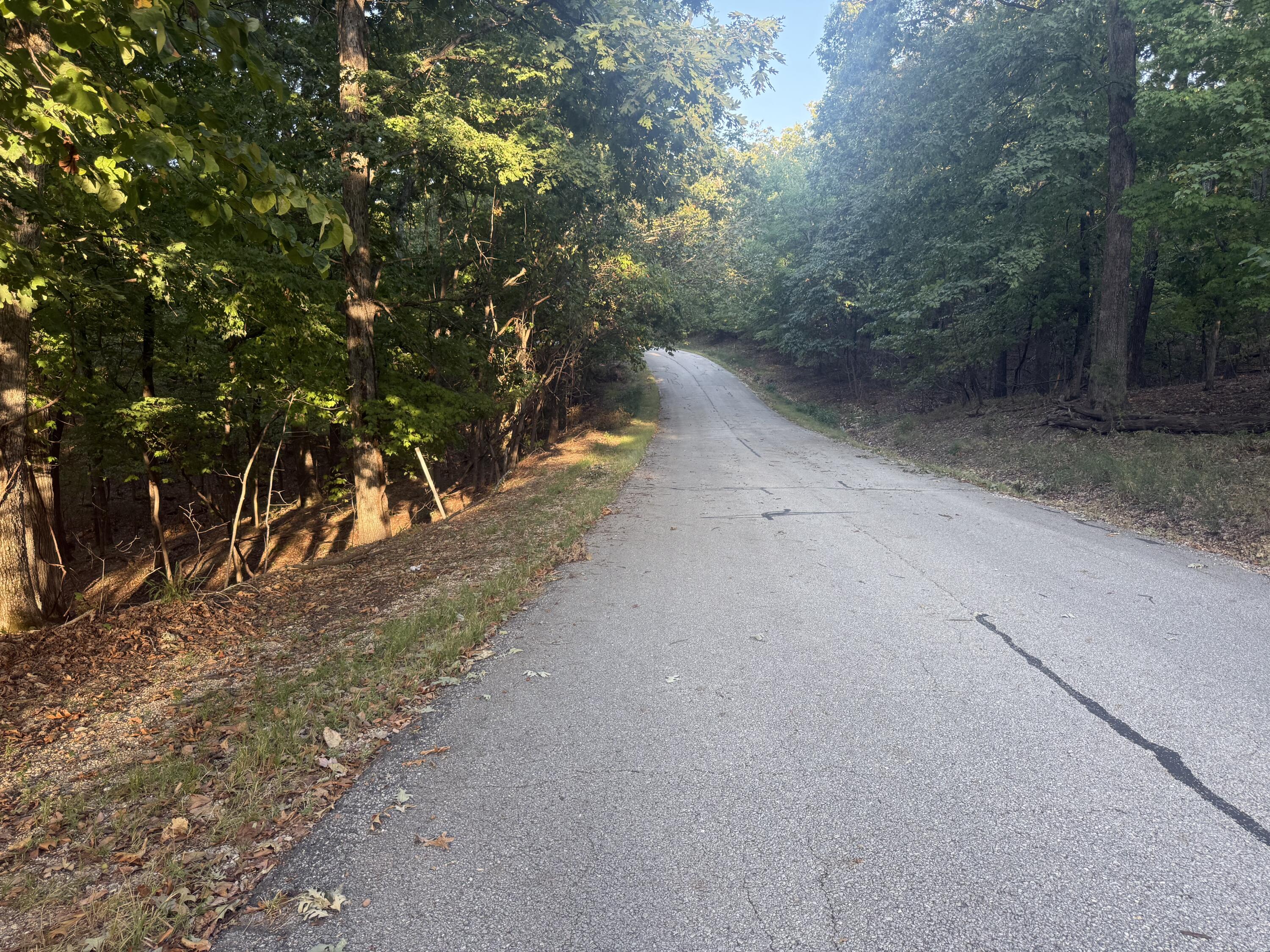 Photo 3 - Land for sale – 000  Lake Road  Sunrise Beach, MO