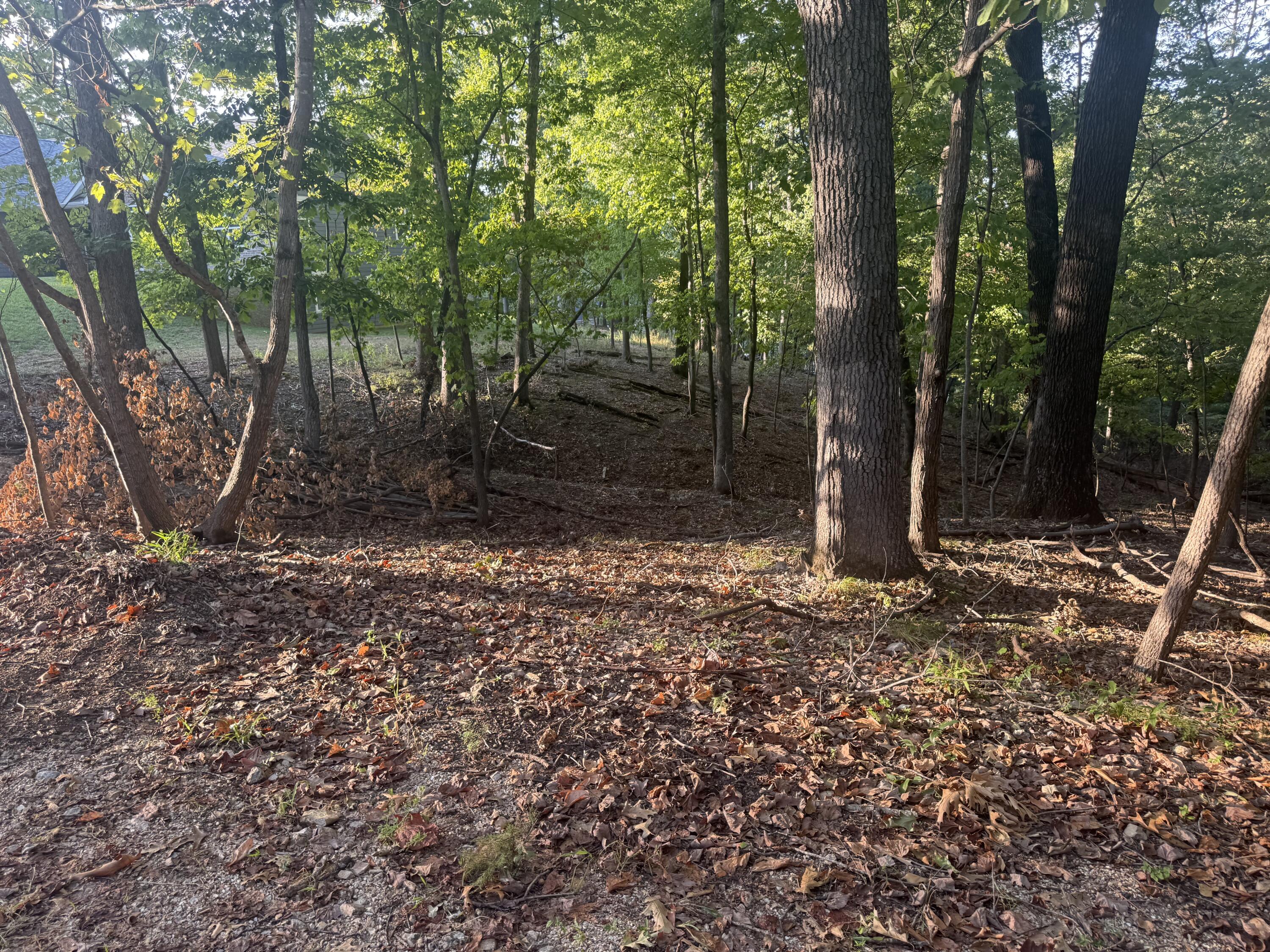 Photo 4 - Land for sale – 000  Lake Road  Sunrise Beach, MO