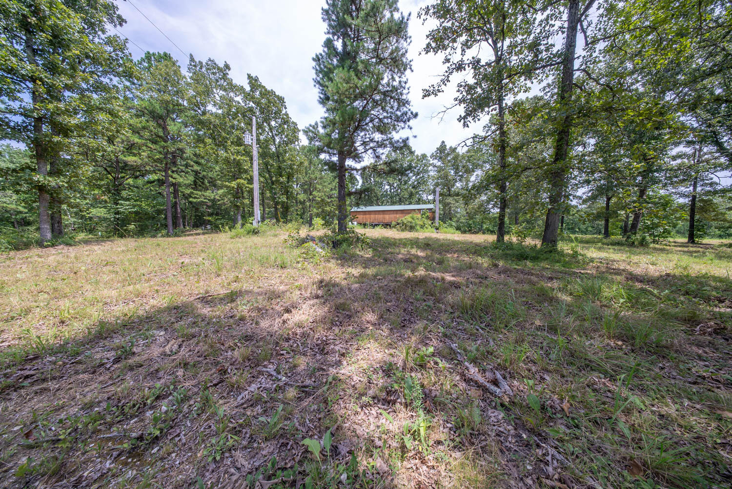 Photo 7 - Land for sale – 32312  U.S. Highway 160   Alton, MO