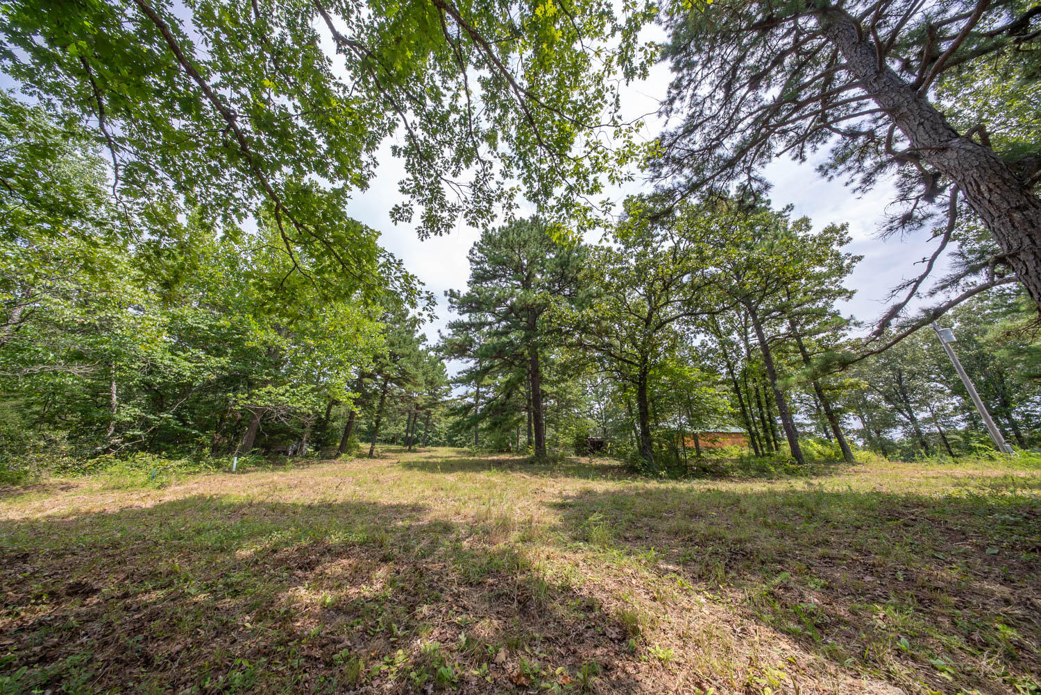 Photo 10 - Land for sale – 32312  U.S. Highway 160   Alton, MO