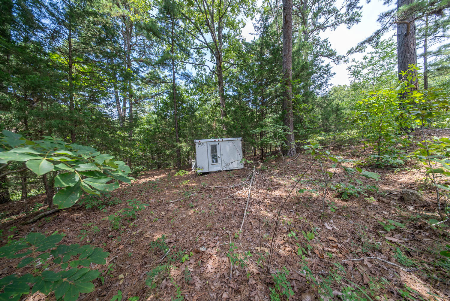 Photo 13 - Land for sale – 32312  U.S. Highway 160   Alton, MO