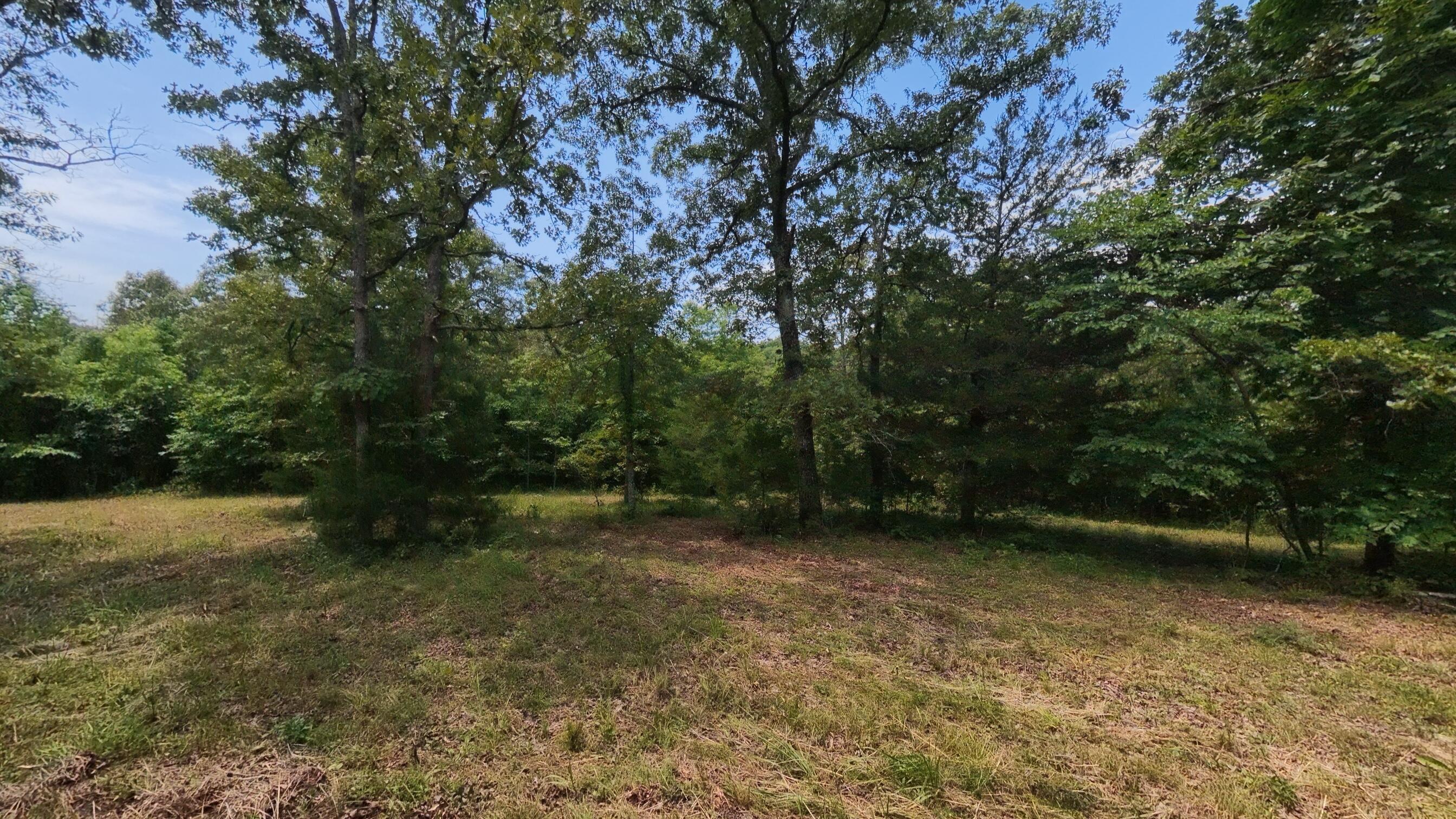 Photo 33 - Land for sale – 32312  U.S. Highway 160   Alton, MO