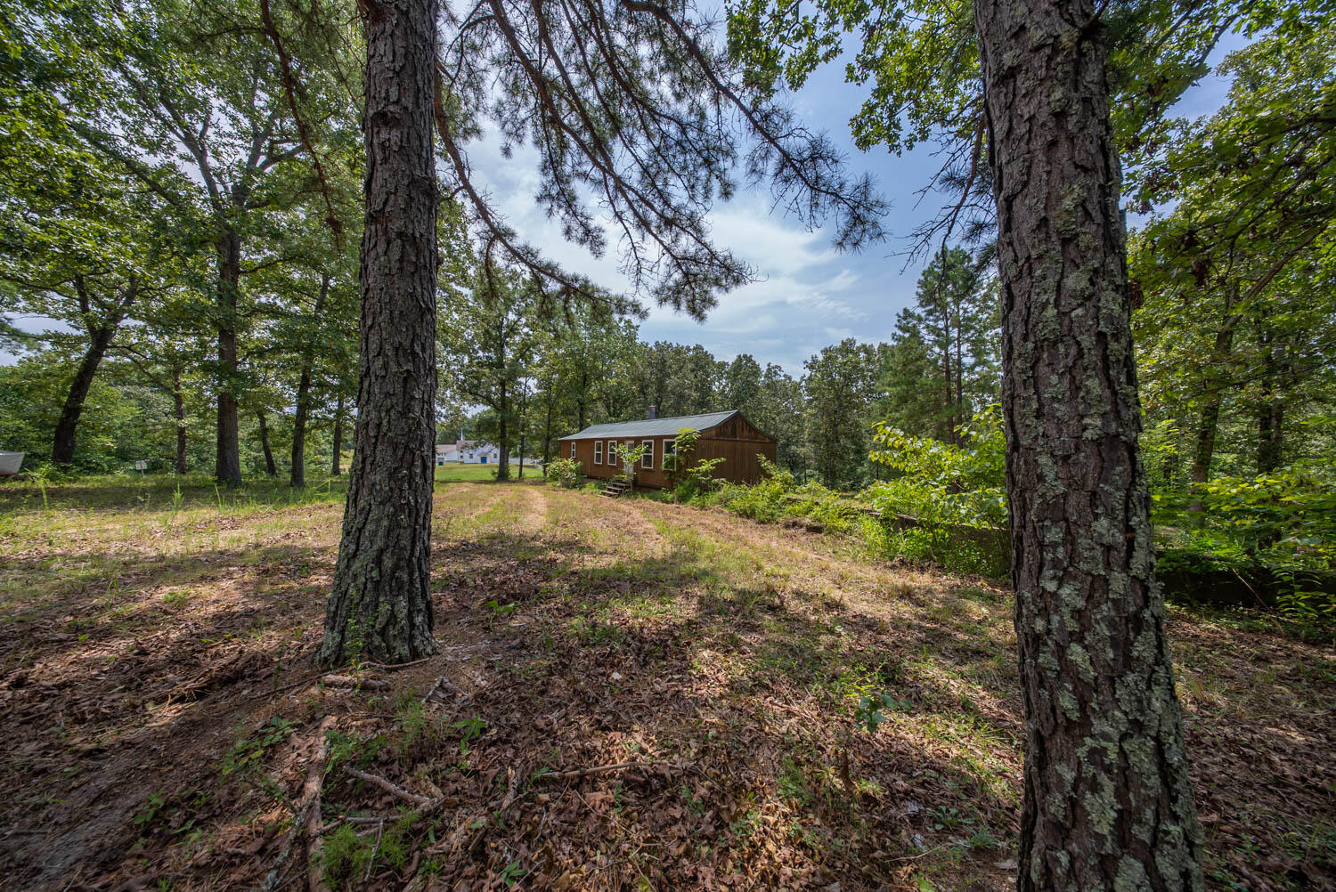 Photo 17 - Land for sale – 32312  U.S. Highway 160   Alton, MO